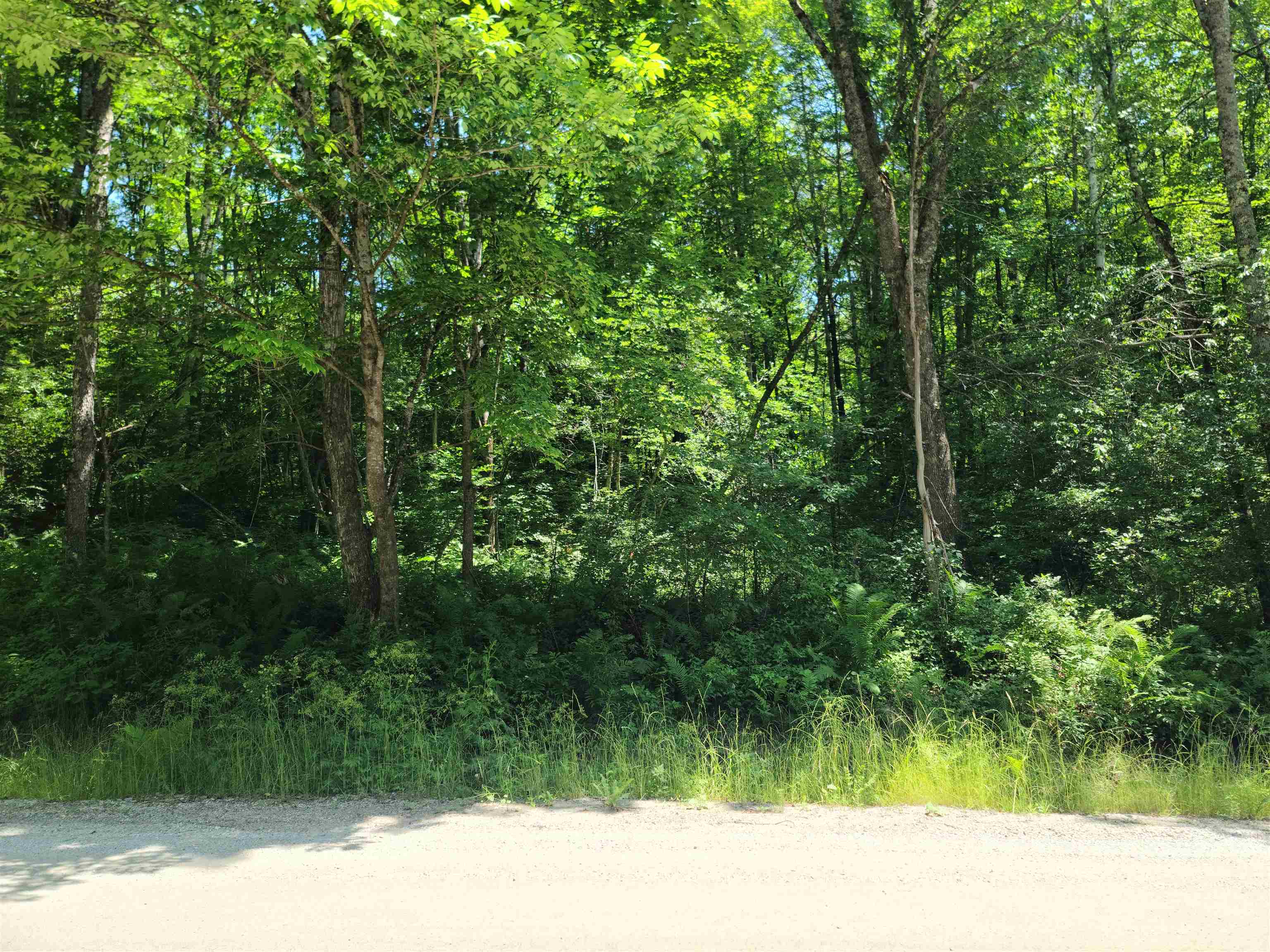 868 Maple Hill Property Photo 1