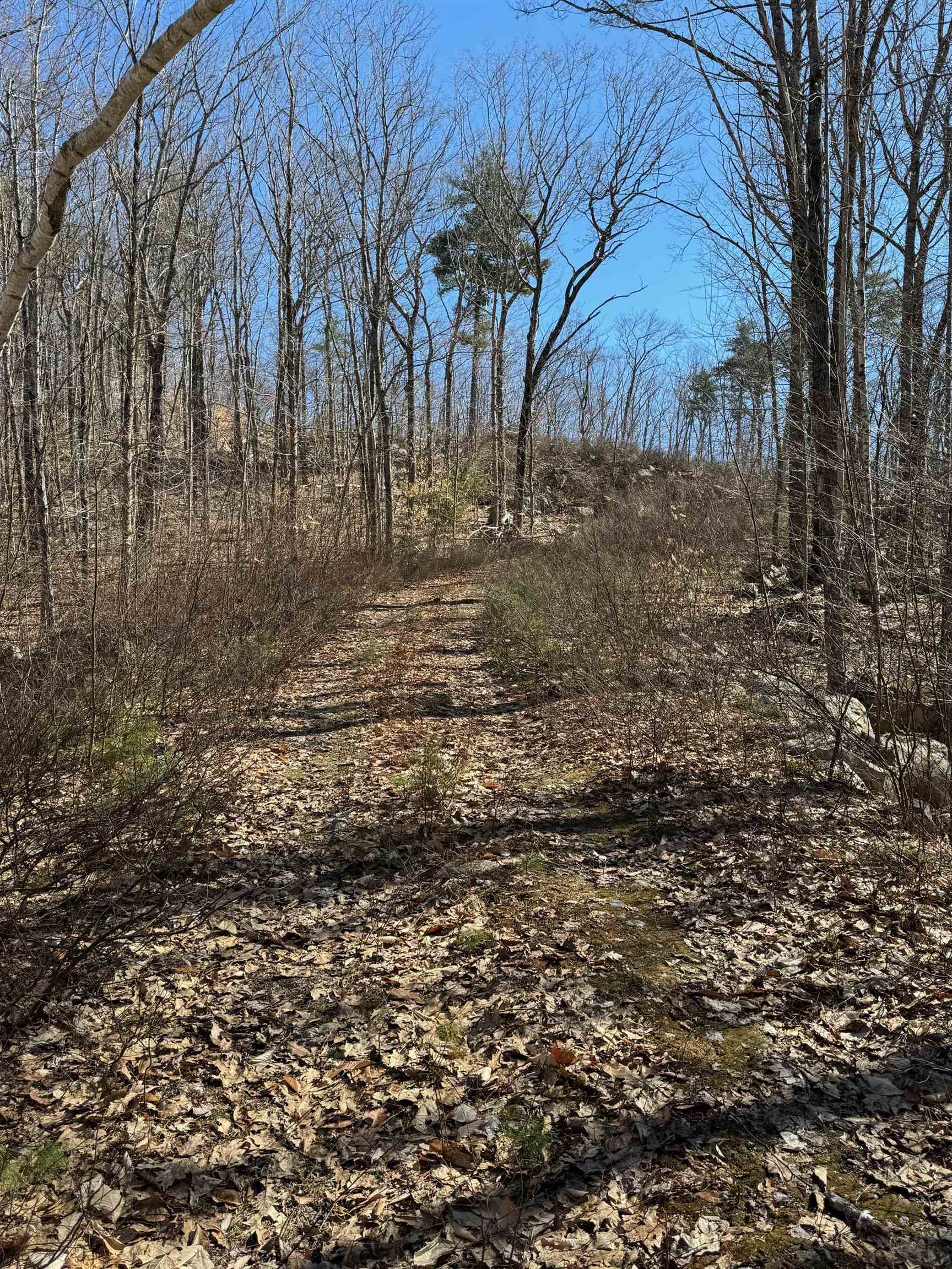 409 Powder Mill Road Property Photo 5