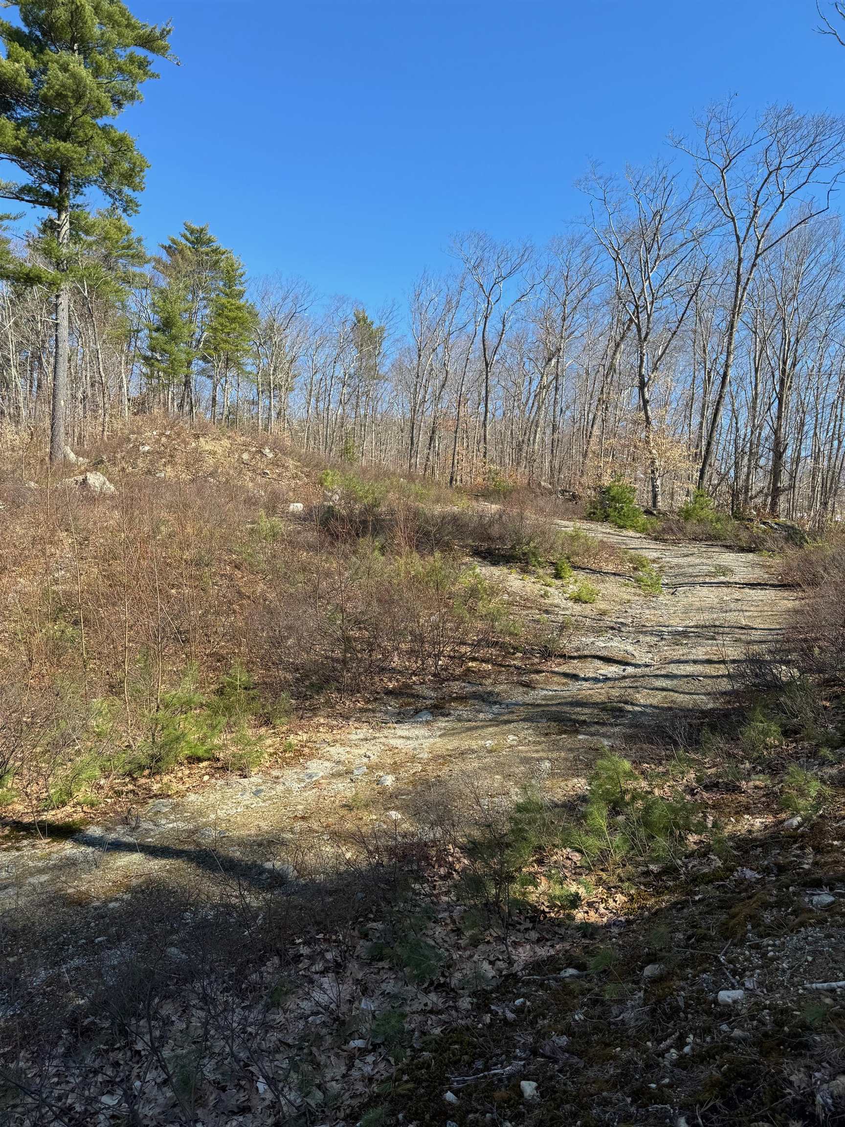409 Powder Mill Road Property Photo 11
