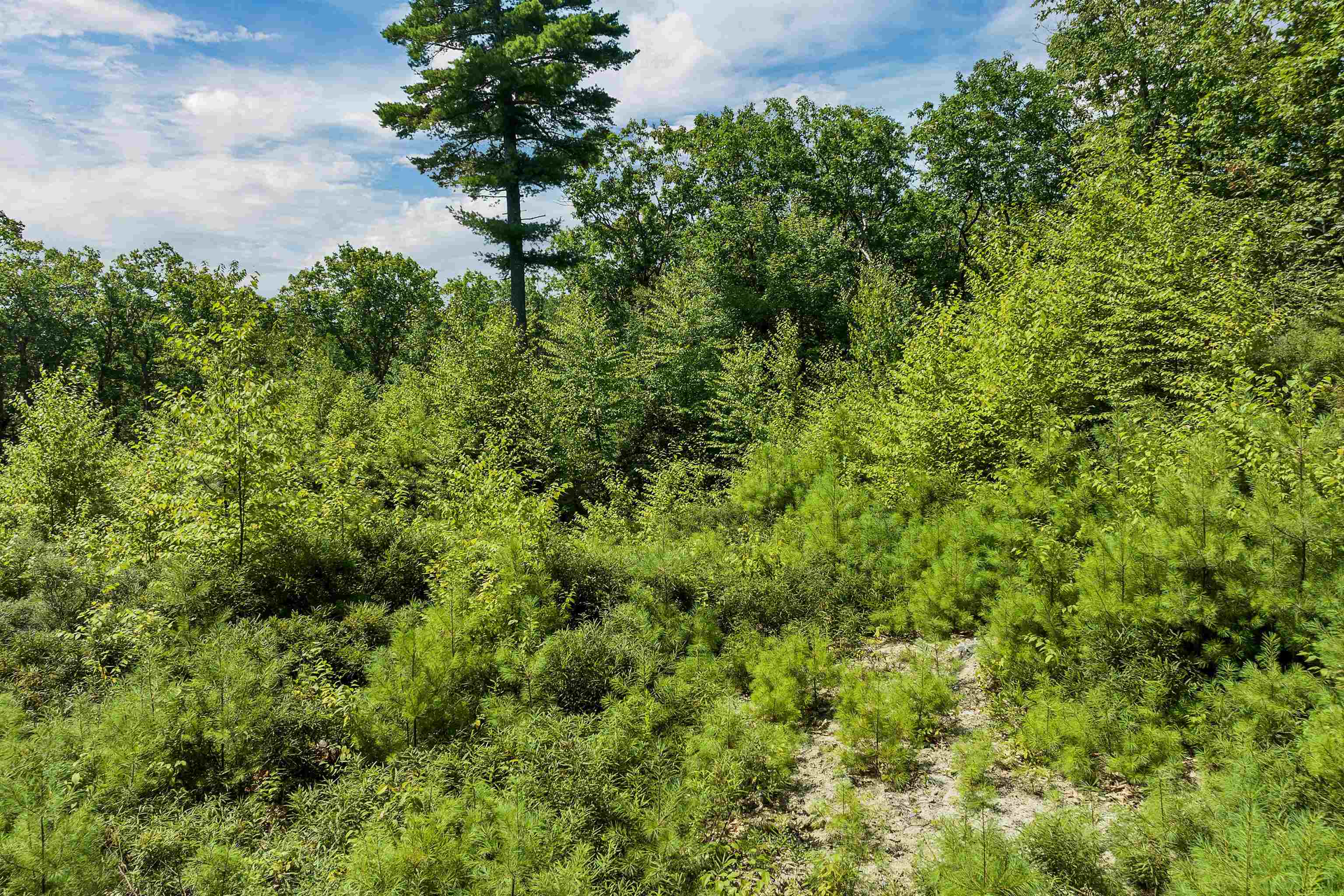 409 Powder Mill Road Property Photo 12