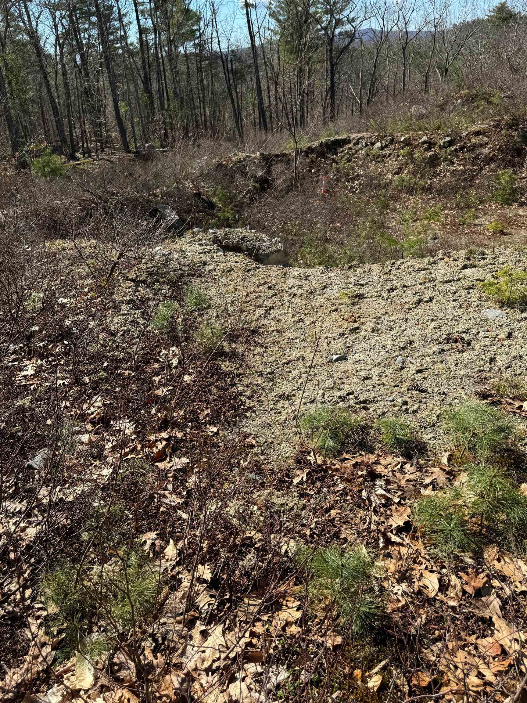 409 Powder Mill Road Property Photo 14