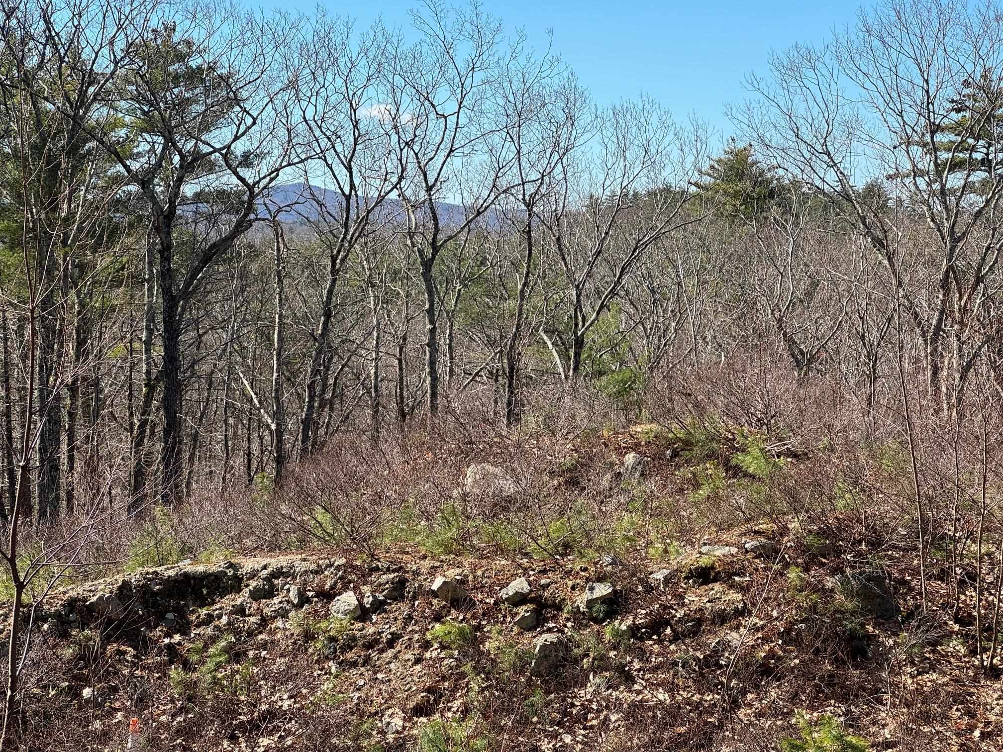 409 Powder Mill Road Property Photo 15