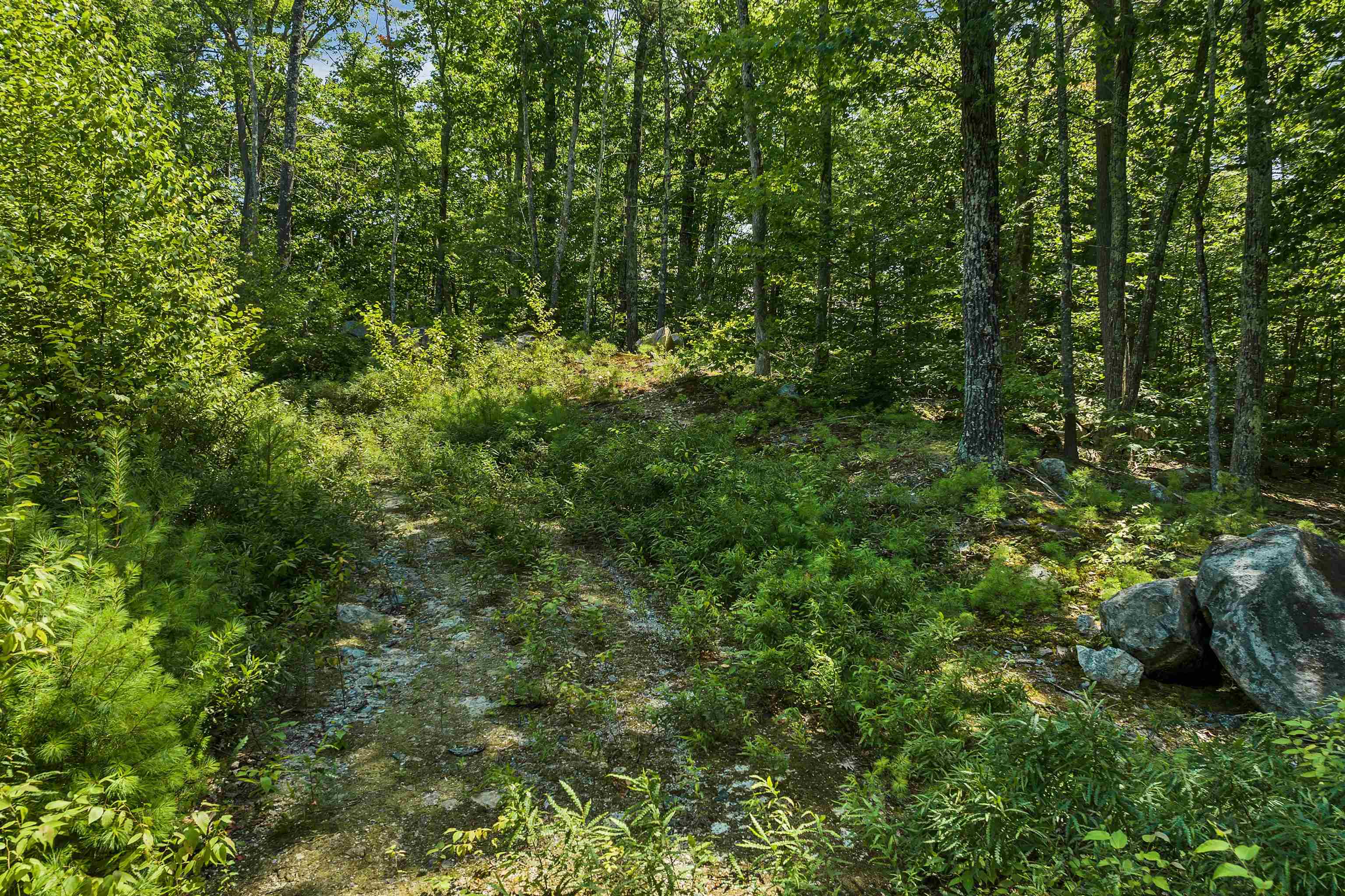 409 Powder Mill Road Property Photo 19