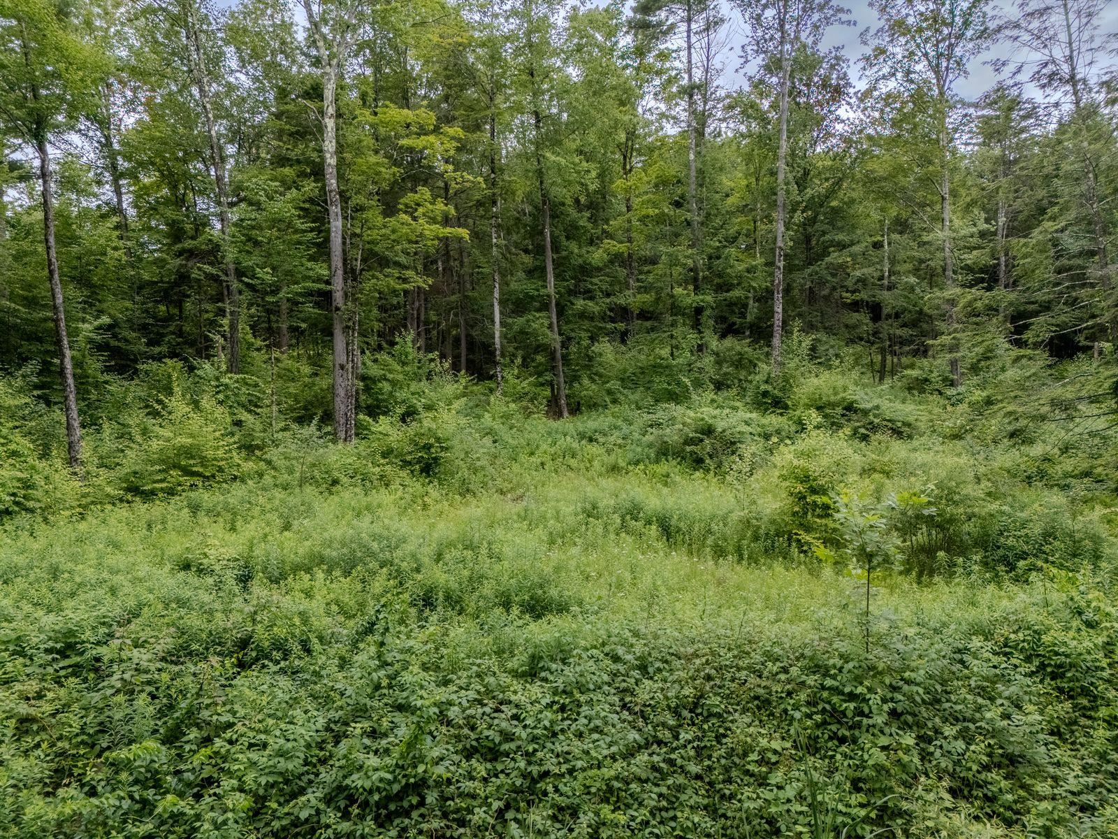 1270 Melendy Hill Road Property Photo 12