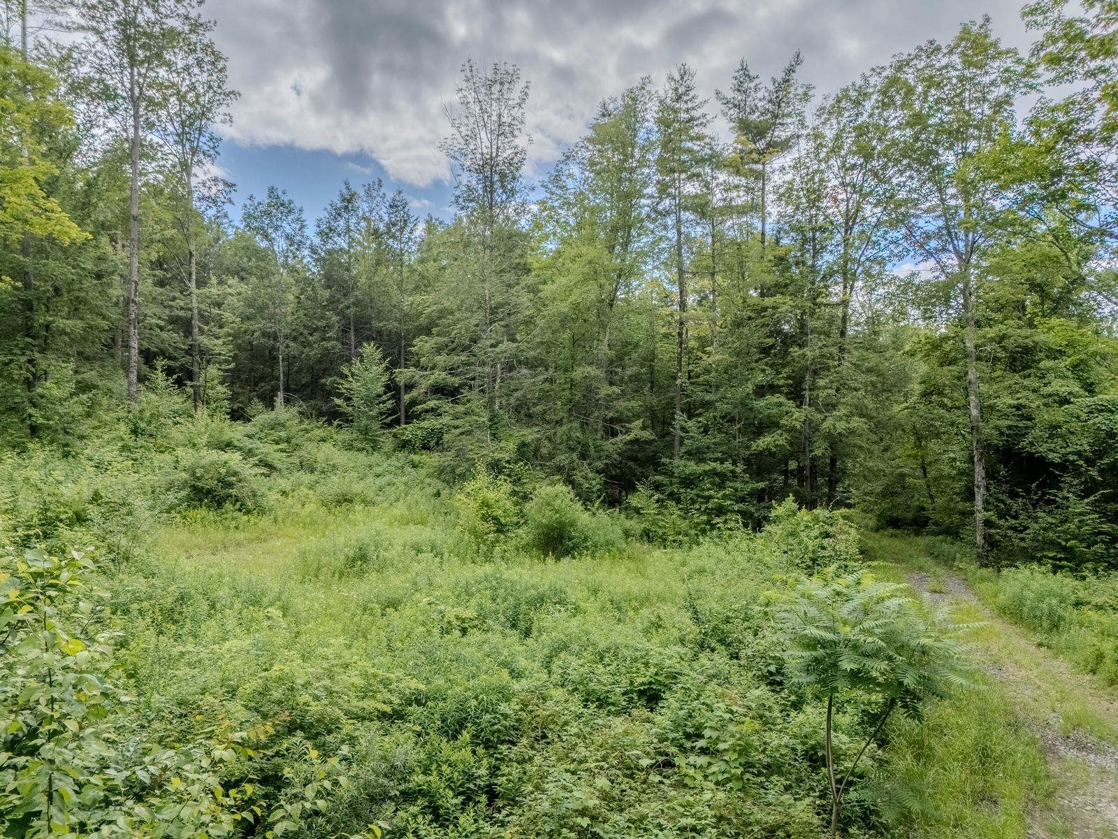 1270 Melendy Hill Road Property Photo 14