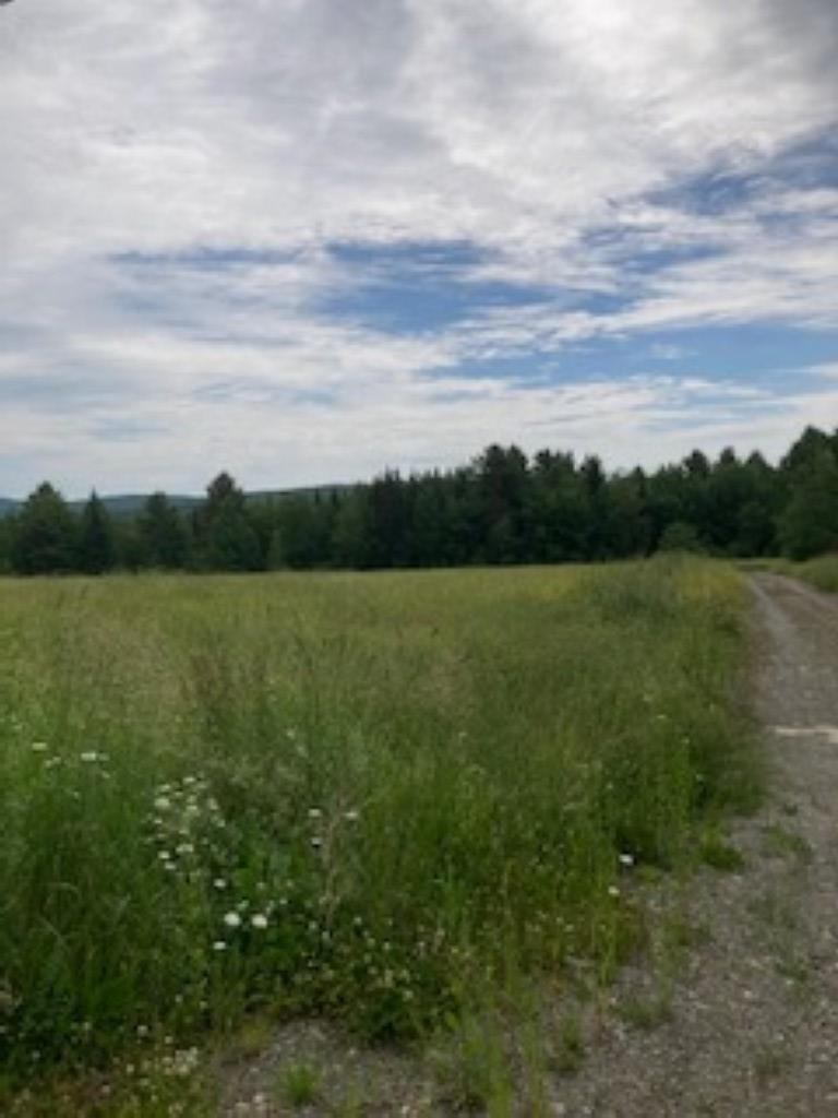 2890 Carter Road Property Photo 1