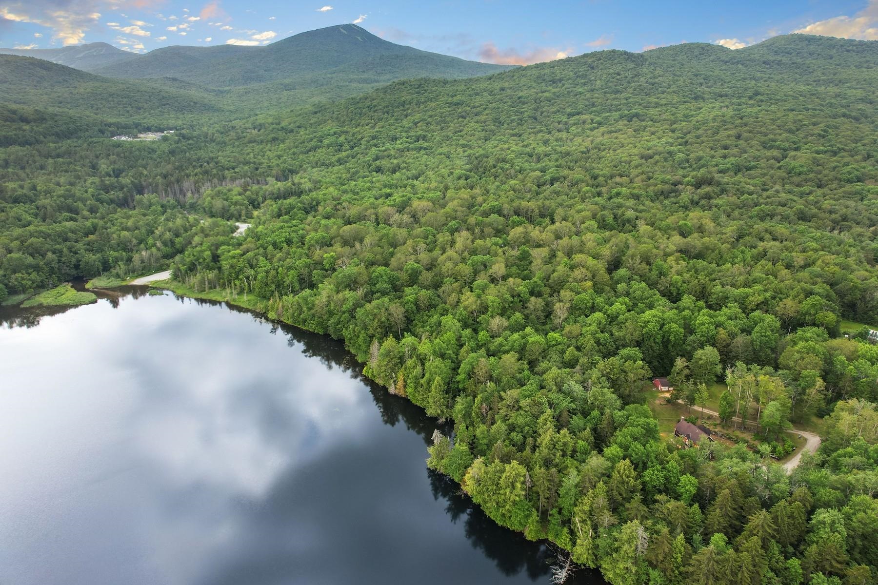 832 Us Route 100n Property Photo 48