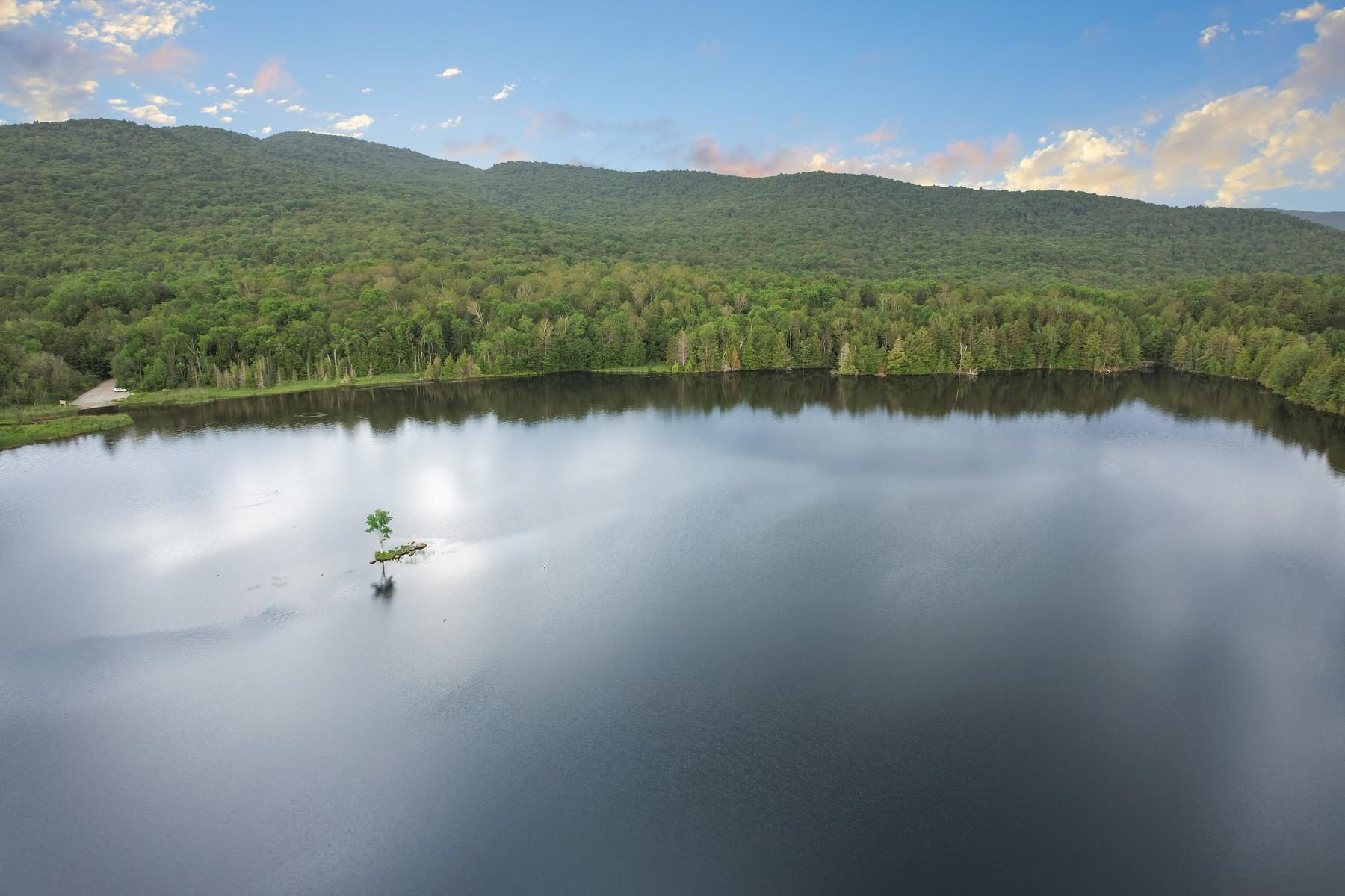 832 Us Route 100n Property Photo 51