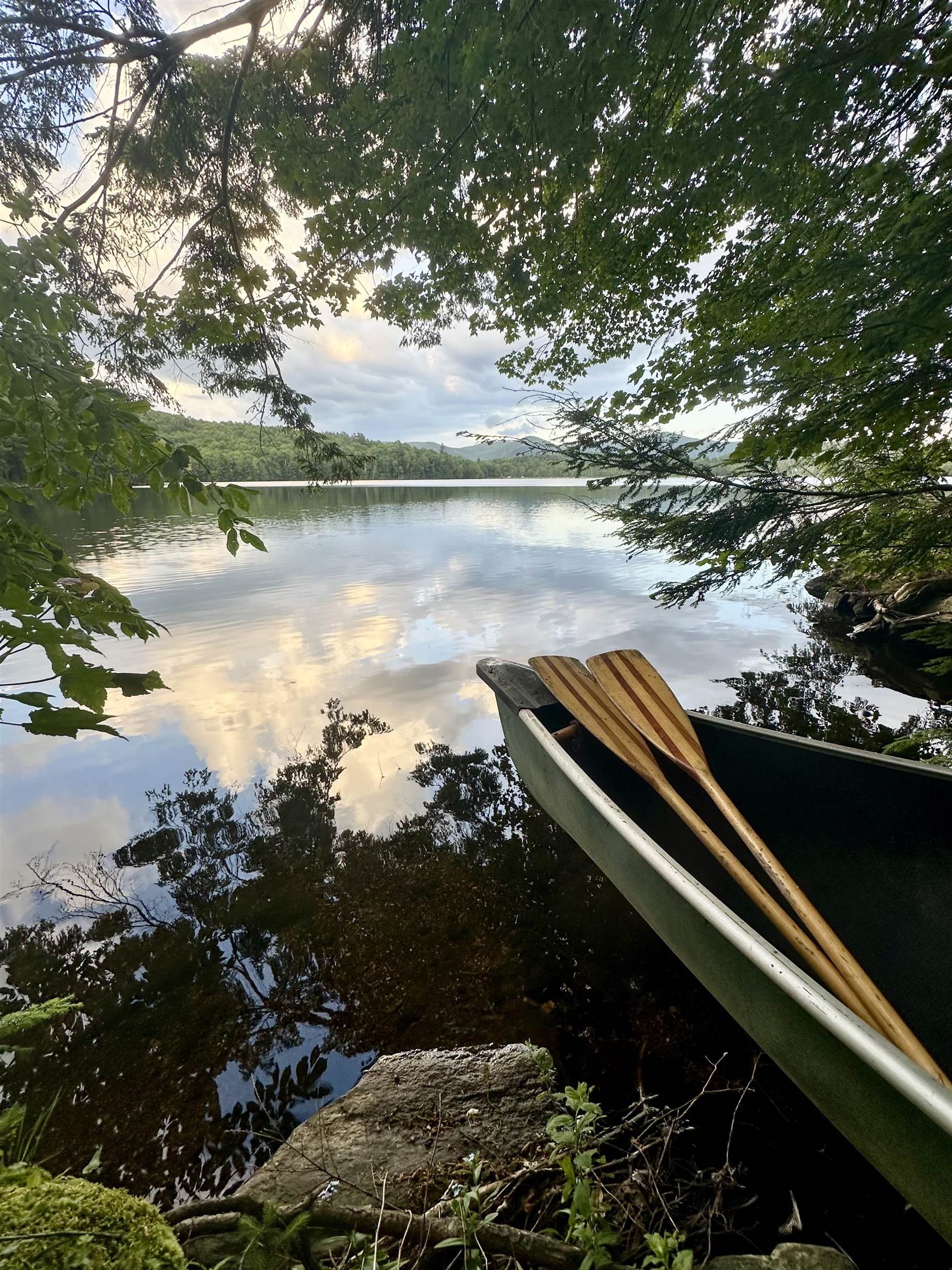 832 Us Route 100n Property Photo 55