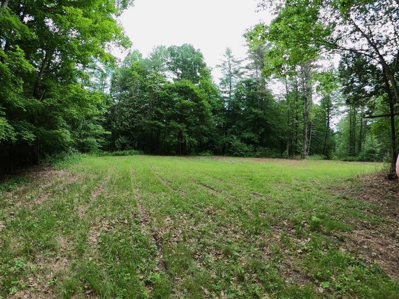 0 Marshall Phillips Road Property Photo 8
