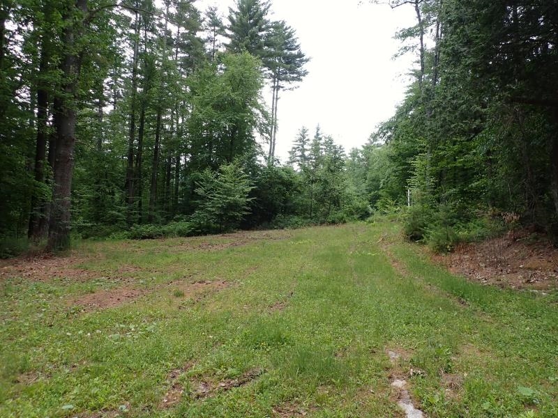 0 Marshall Phillips Road Property Photo 9