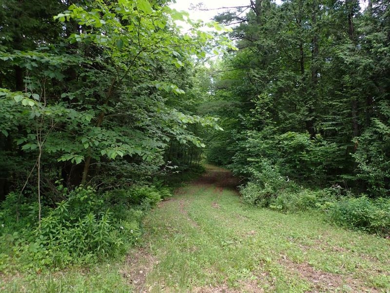 0 Marshall Phillips Road Property Photo 10