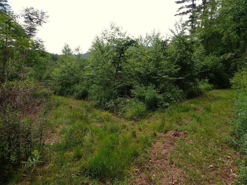 0 Marshall Phillips Road Property Photo 11