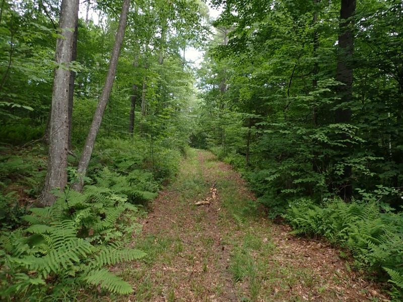 0 Marshall Phillips Road Property Photo 13