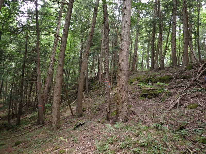 0 Marshall Phillips Road Property Photo 15