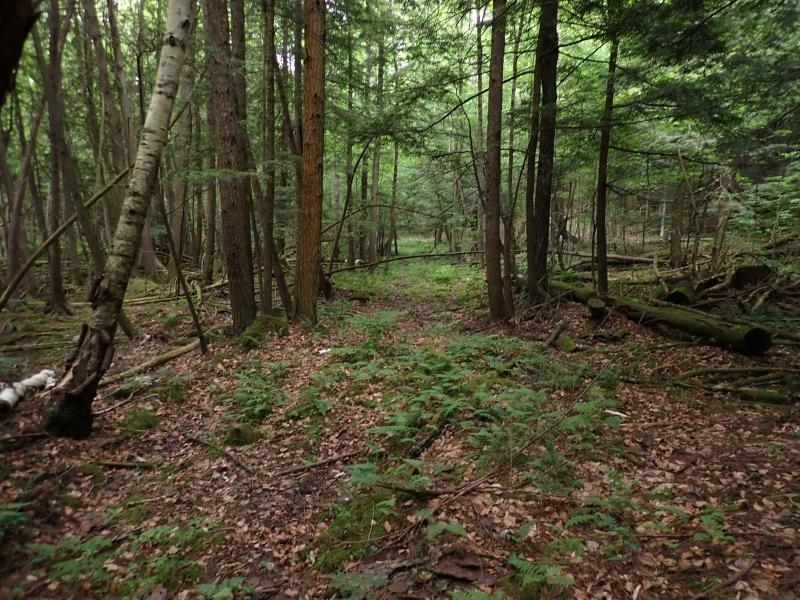 0 Marshall Phillips Road Property Photo 16