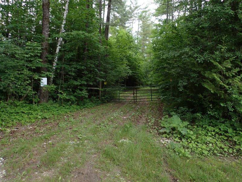 0 Marshall Phillips Road Property Photo 24