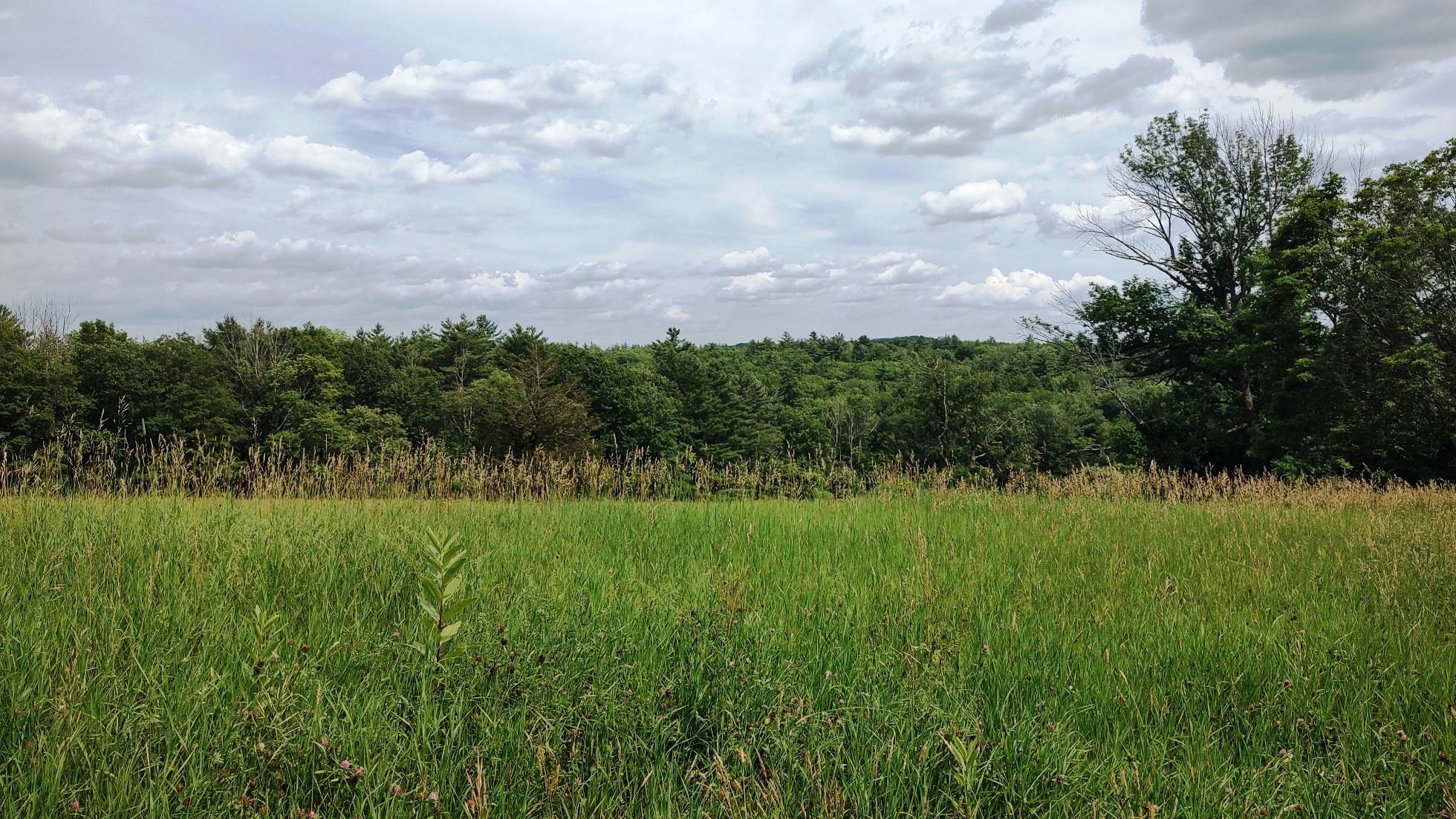 Map 1 Lot 50 Colburn Road Property Photo 1