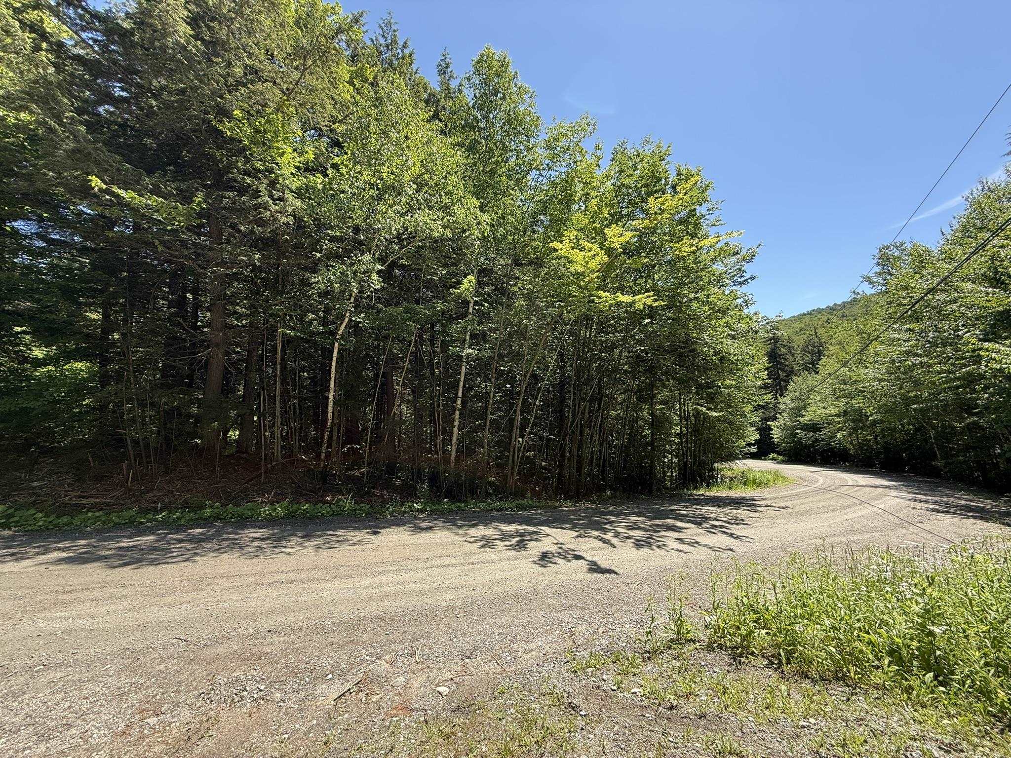 58 Boardman Loop Property Photo 1
