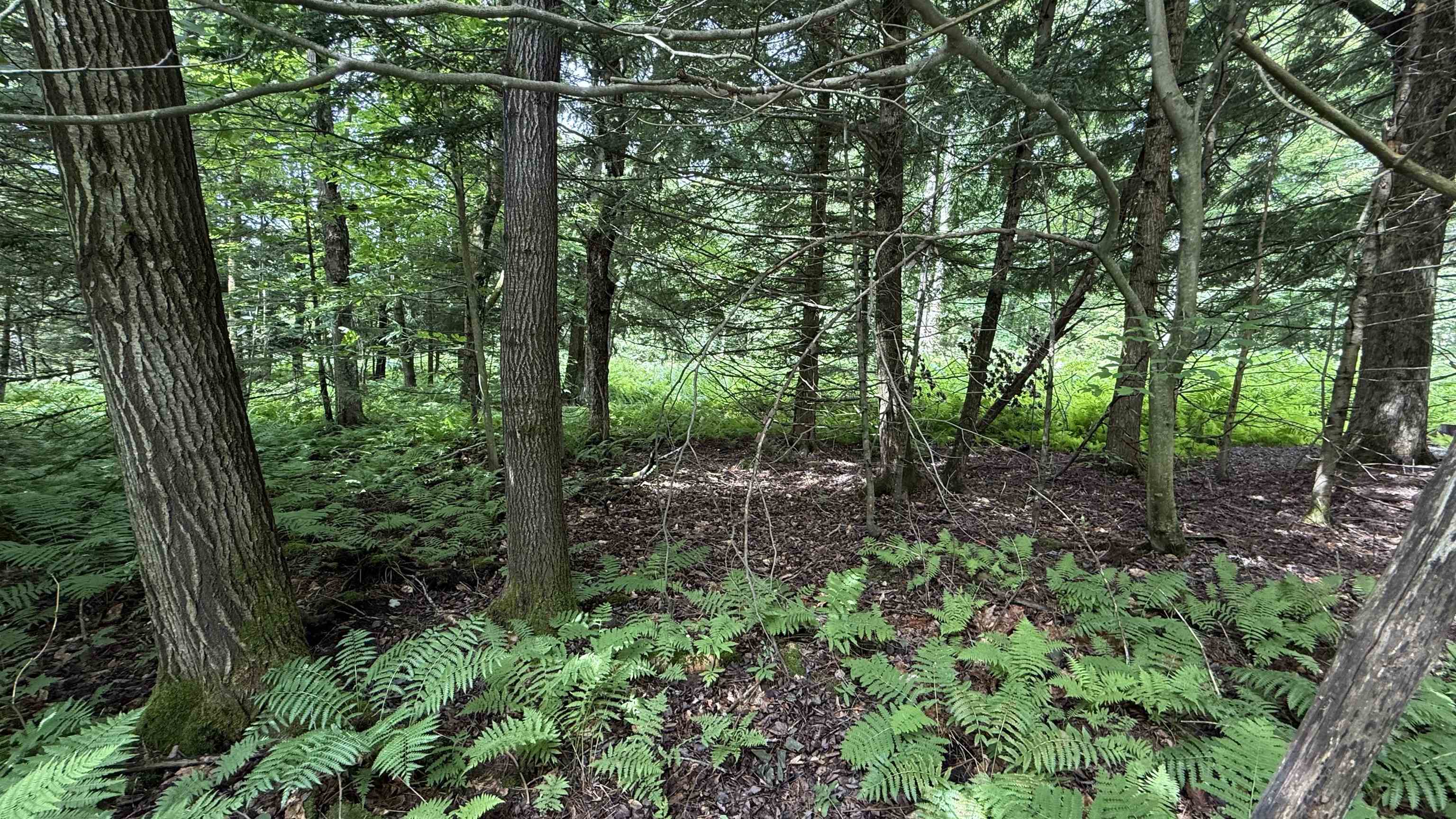 1386 Clif Reynolds Road Property Photo 1
