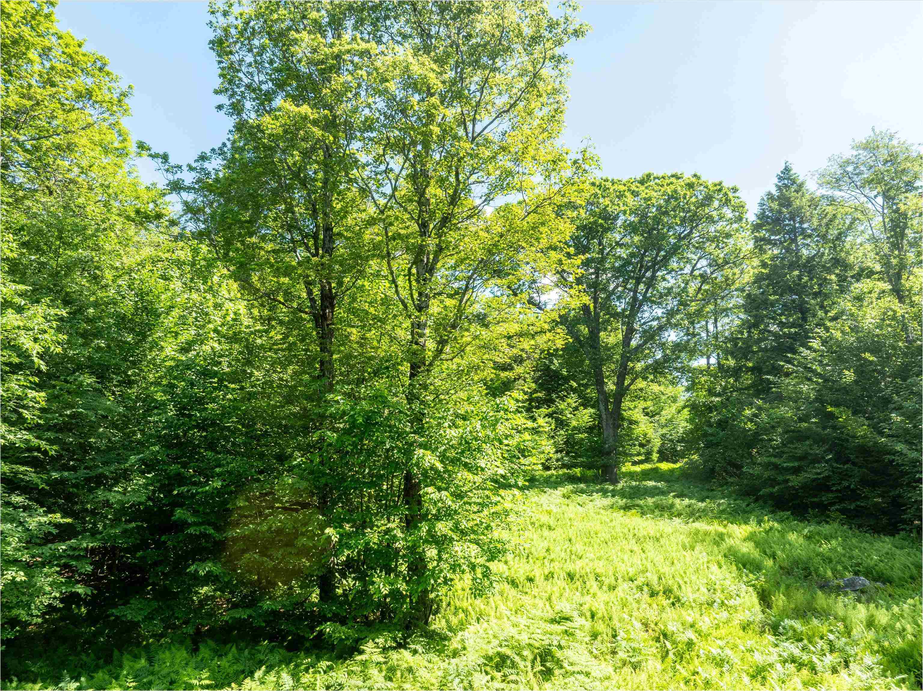 00 Turtle Hill Road Property Photo 1