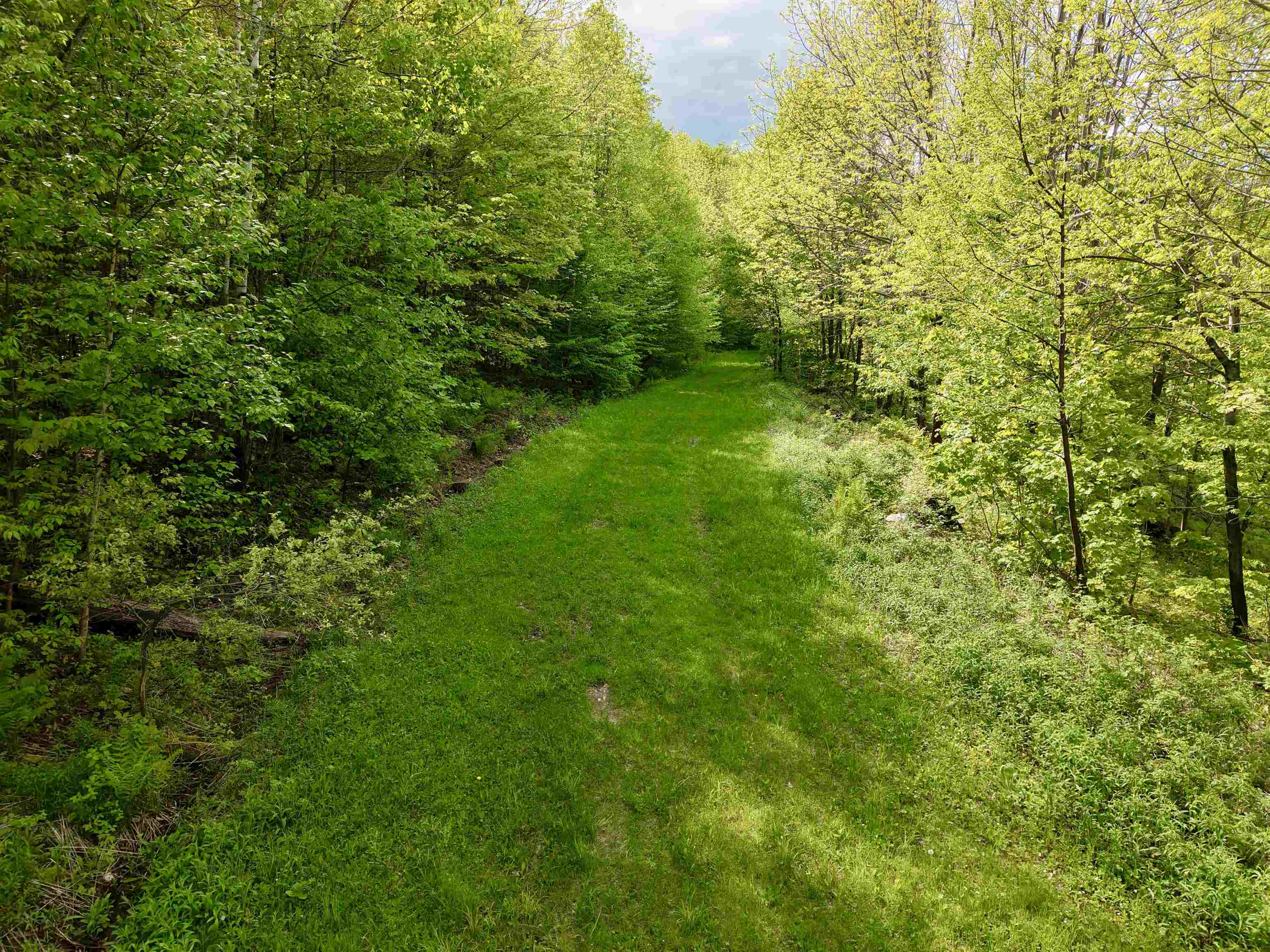 000 Rabbit Run Property Photo 5