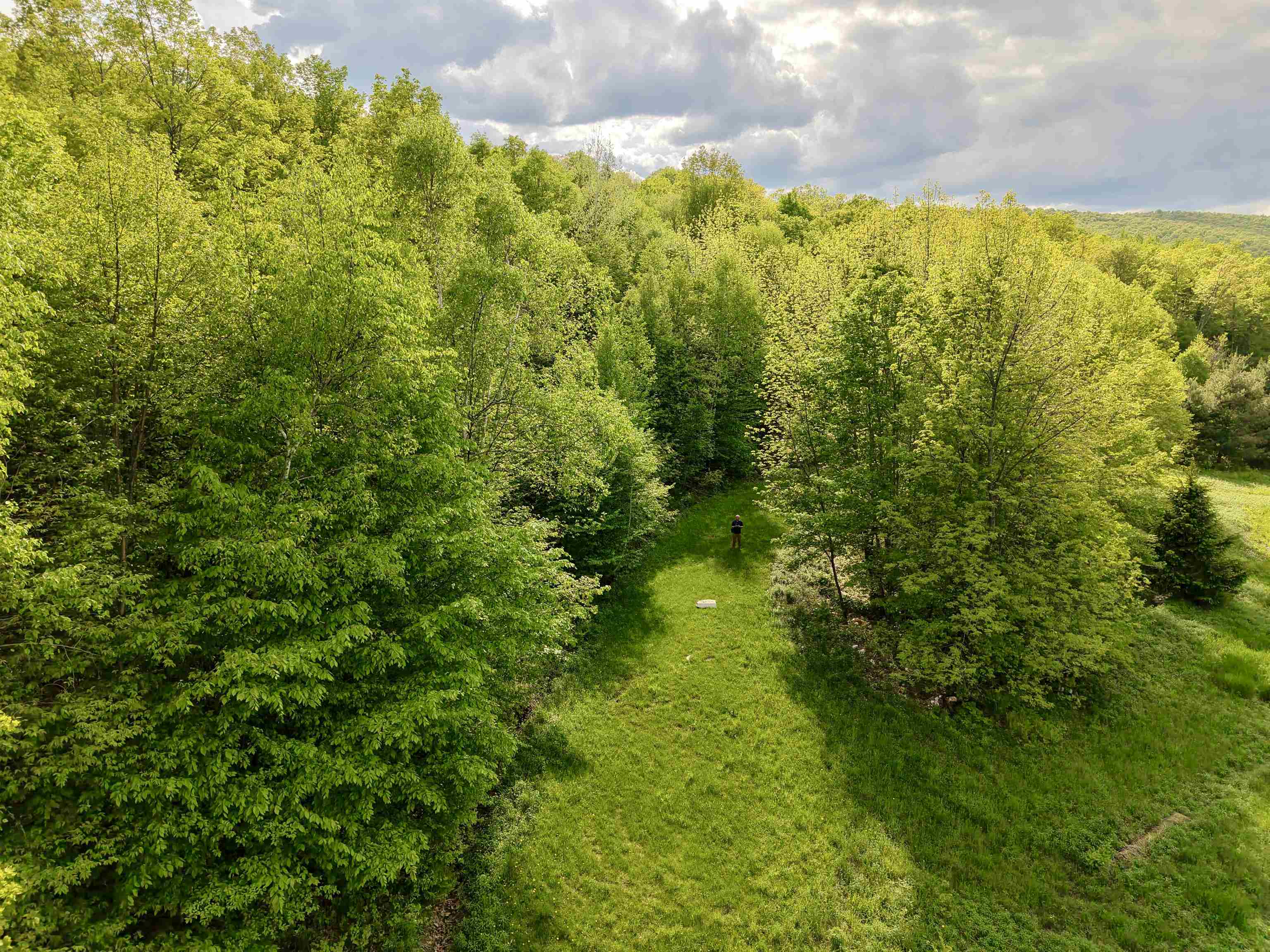 000 Rabbit Run Property Photo 7
