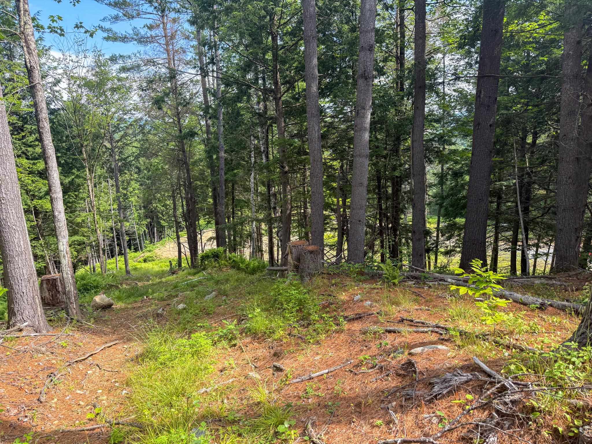 567 Sawnee Bean Road Property Photo 12