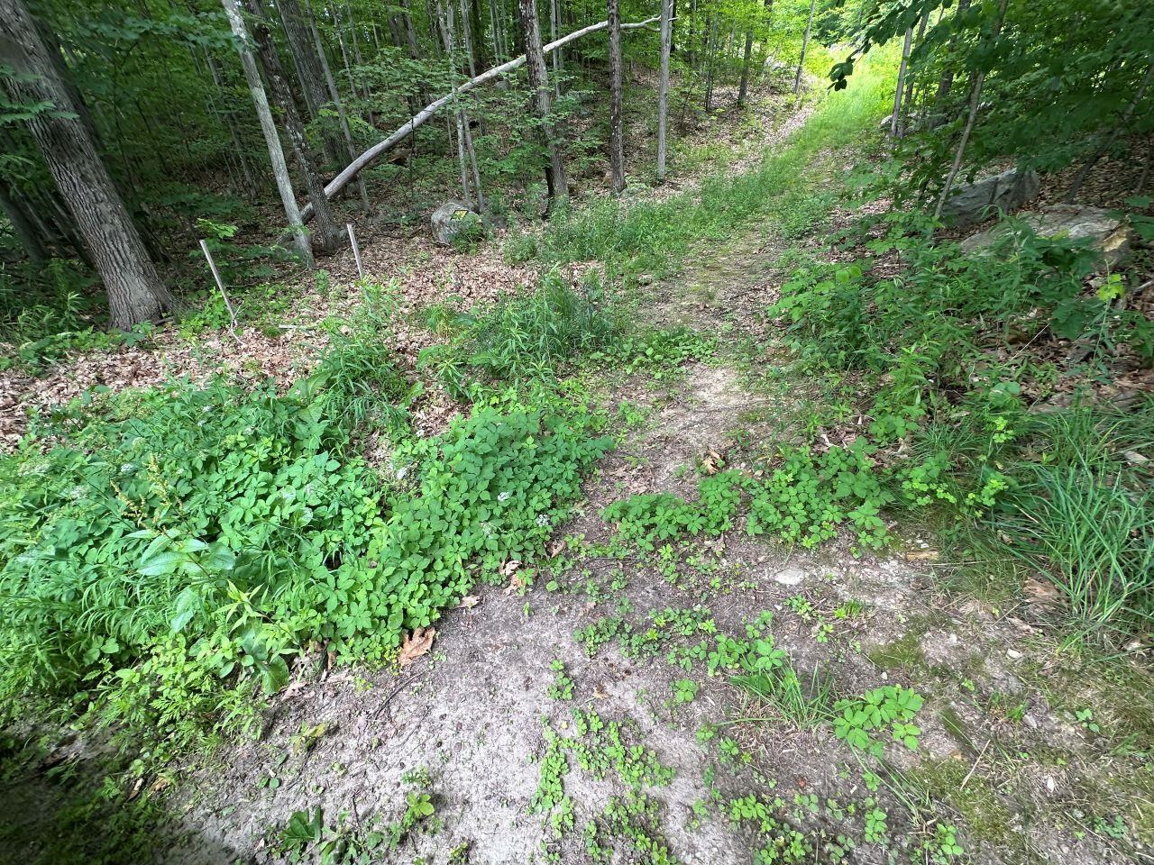 0 Shepherd Lane Property Photo 1