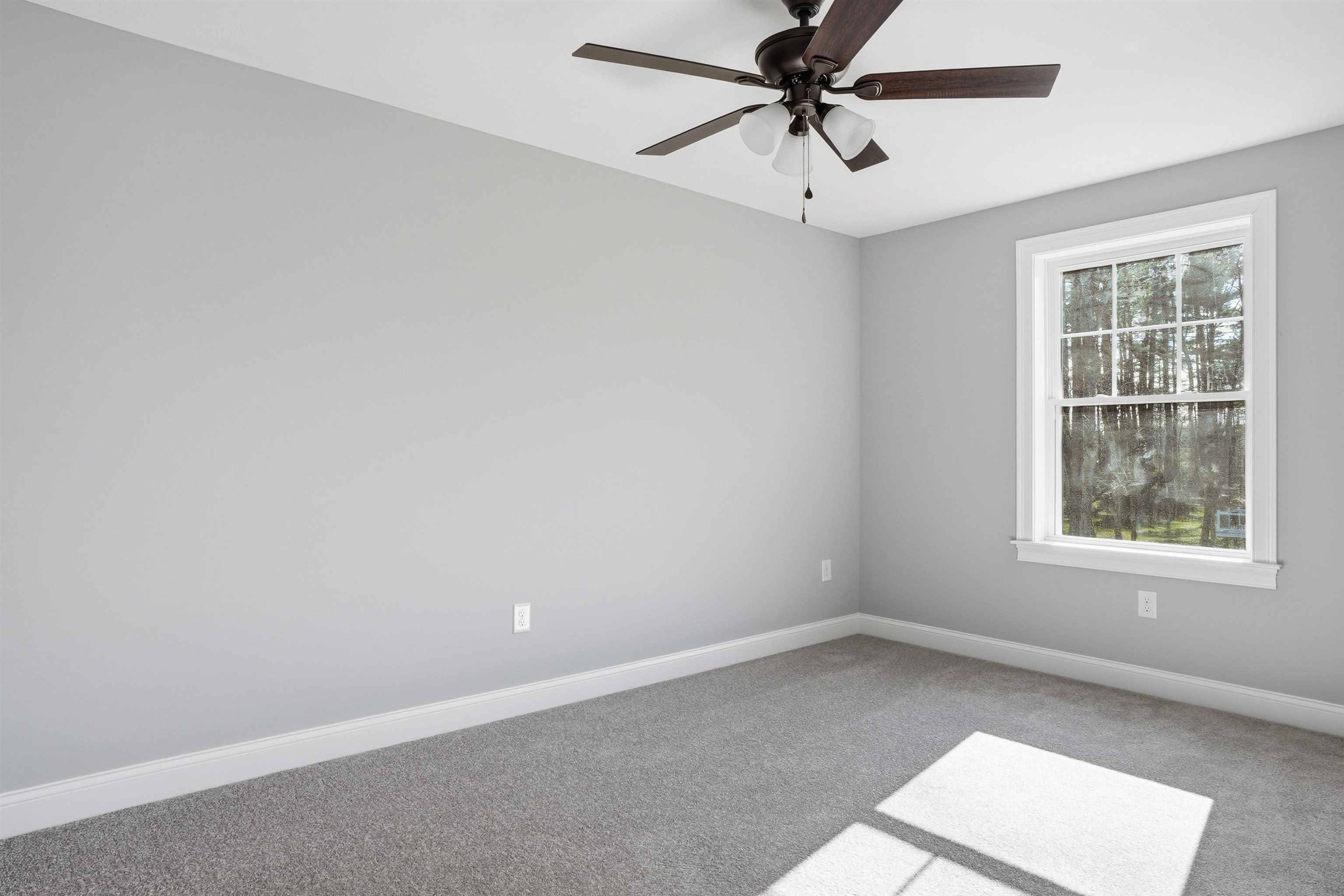 5 Talent Road Property Photo 28
