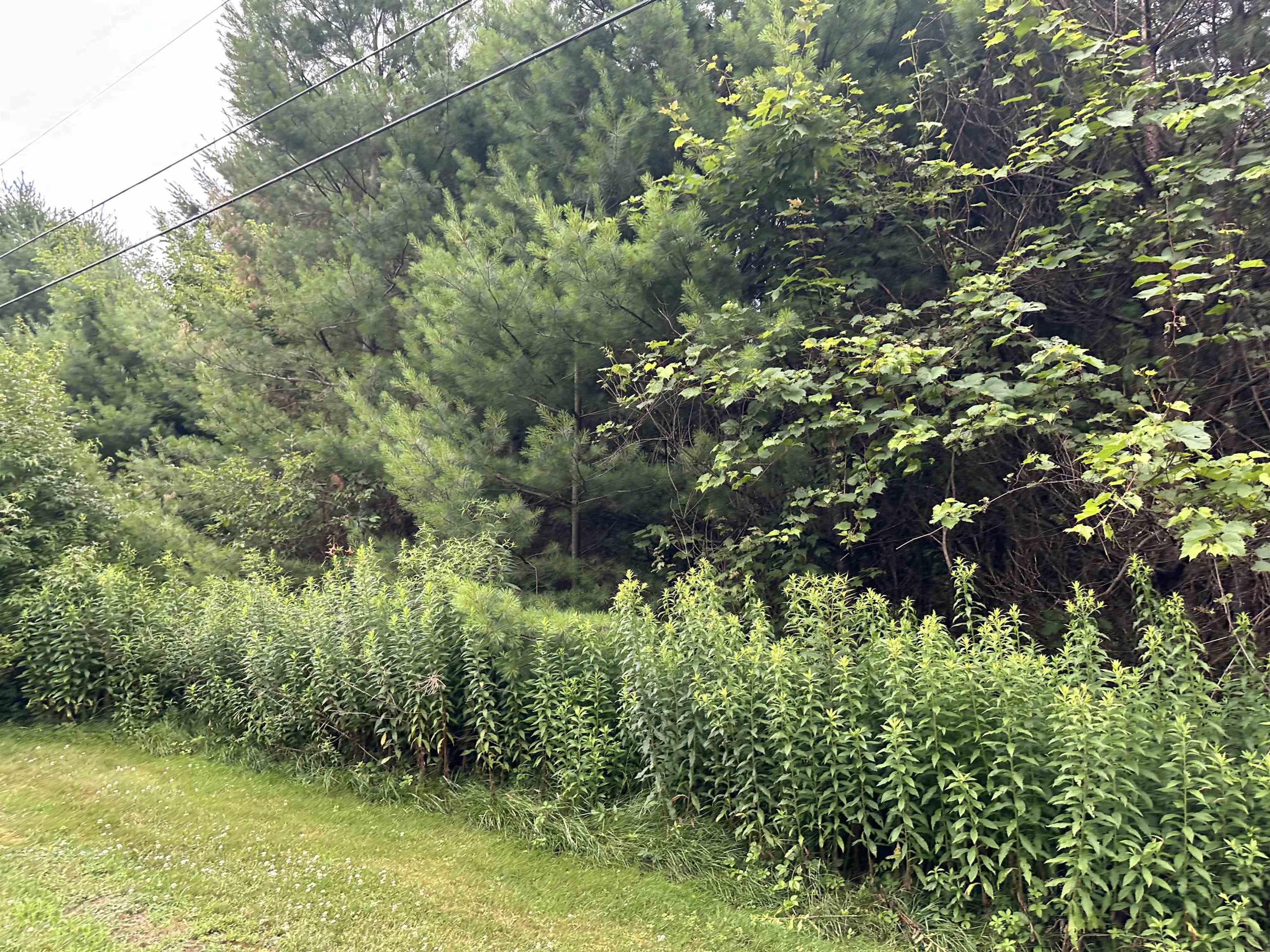 9 Rydon Acres Property Photo 4