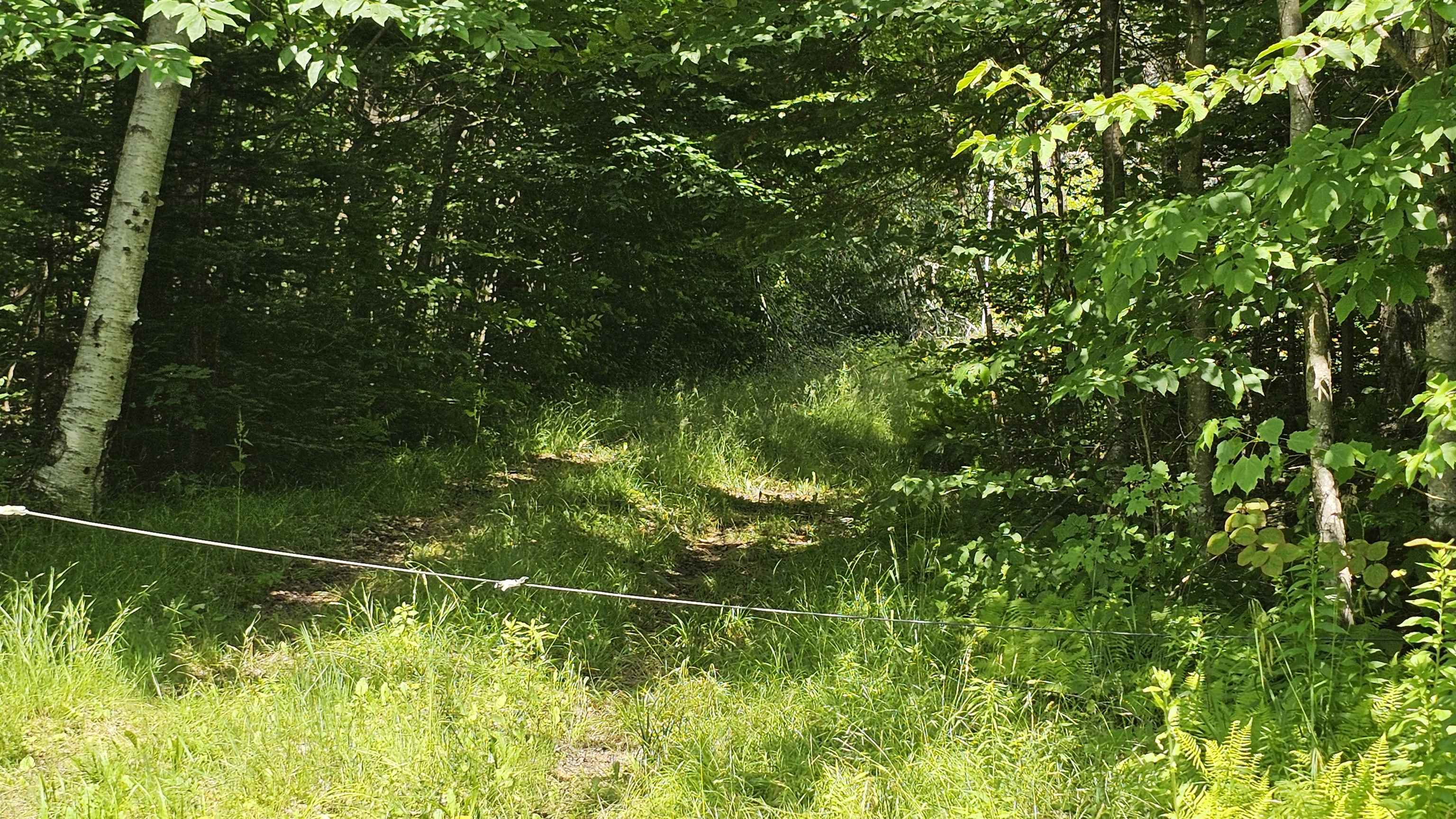 1718 Brown Schoolhouse Road Property Photo 1