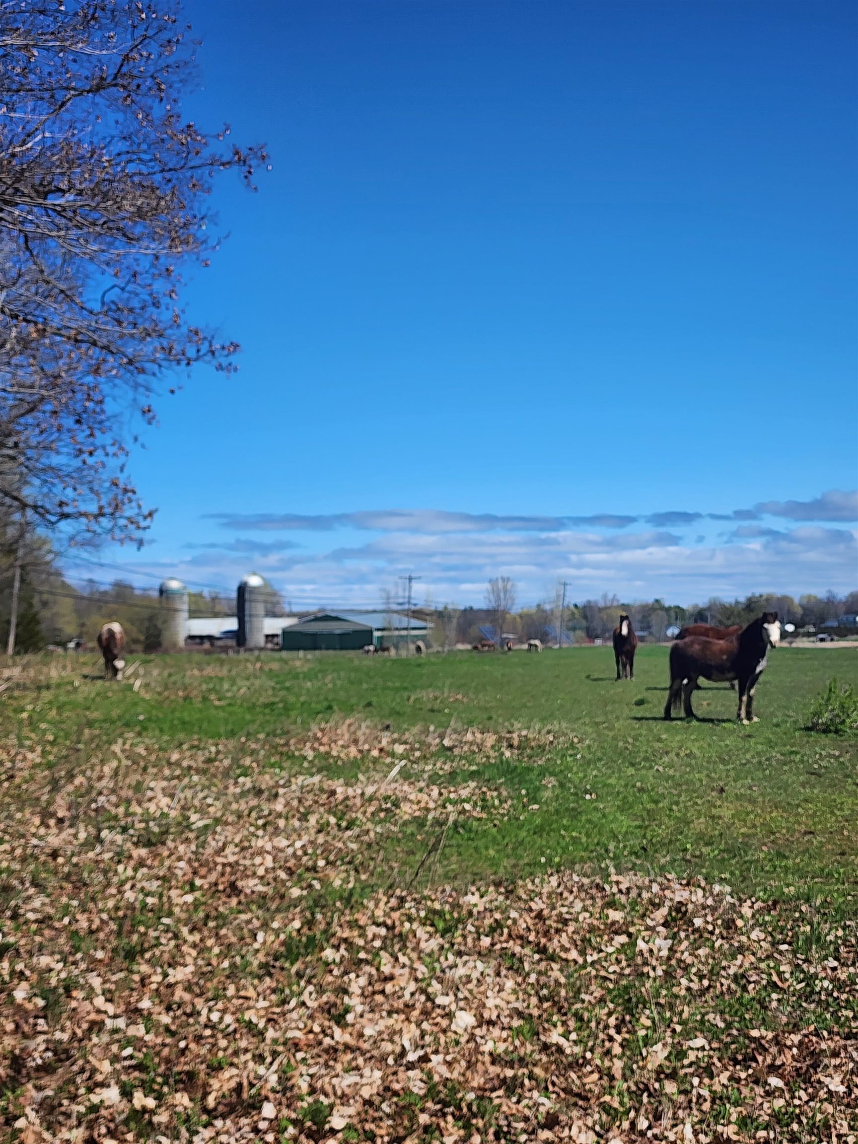 16 Us Route 2 Highway Property Photo 20