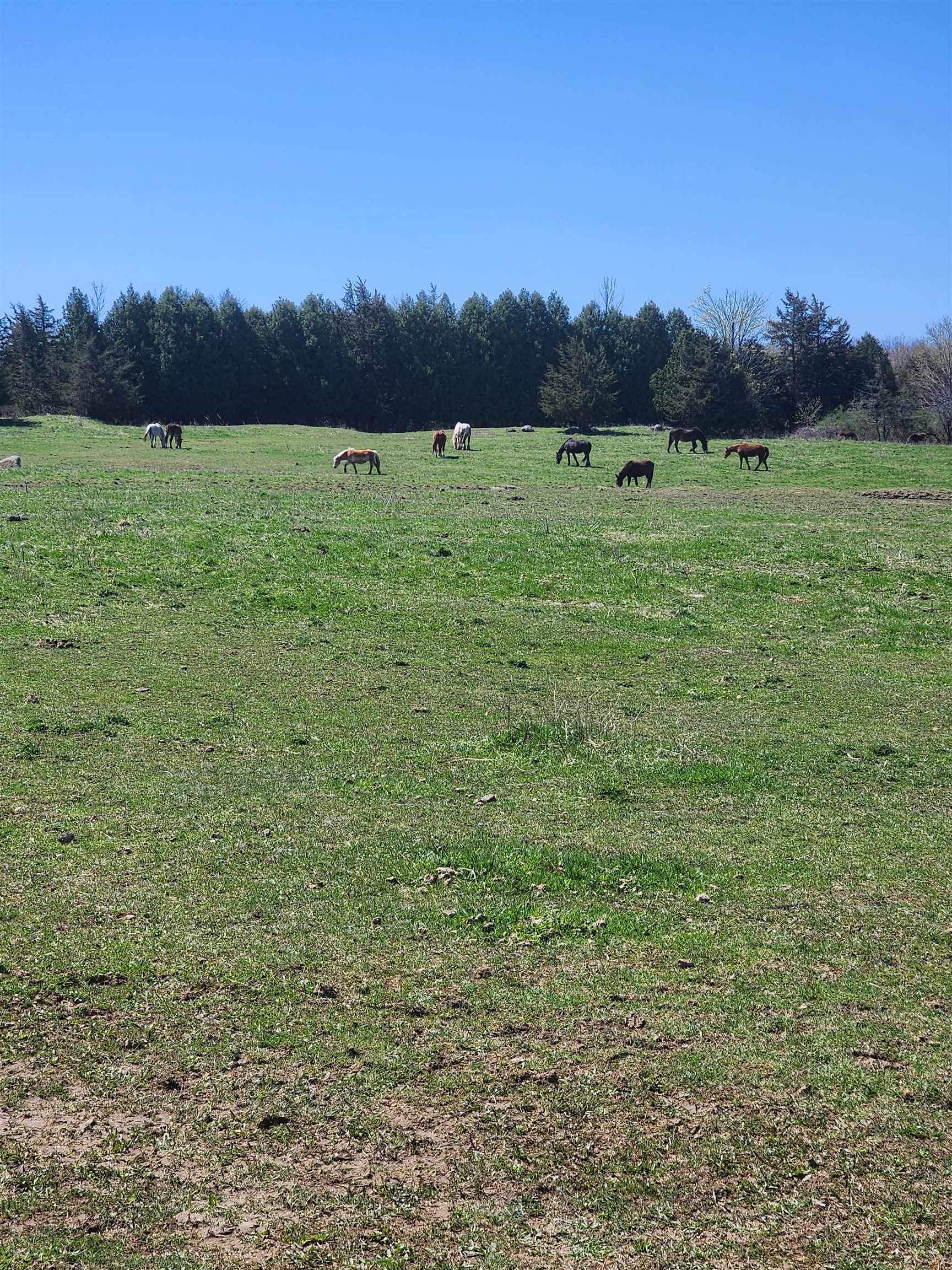 16 Us Route 2 Highway Property Photo 30