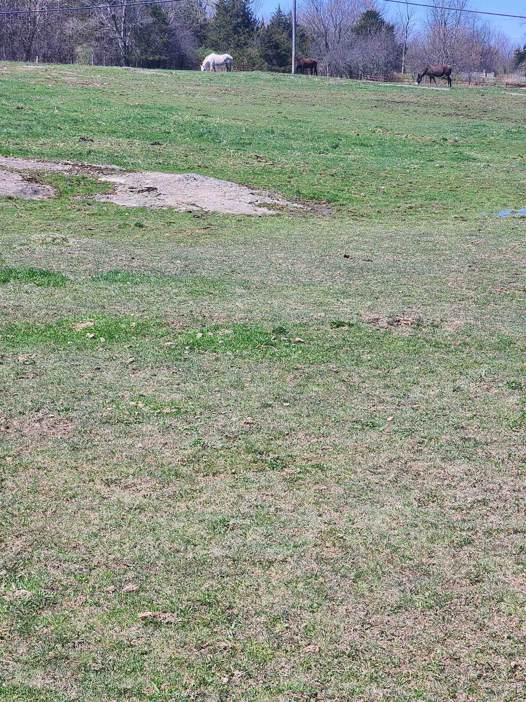 16 Us Route 2 Highway Property Photo 31