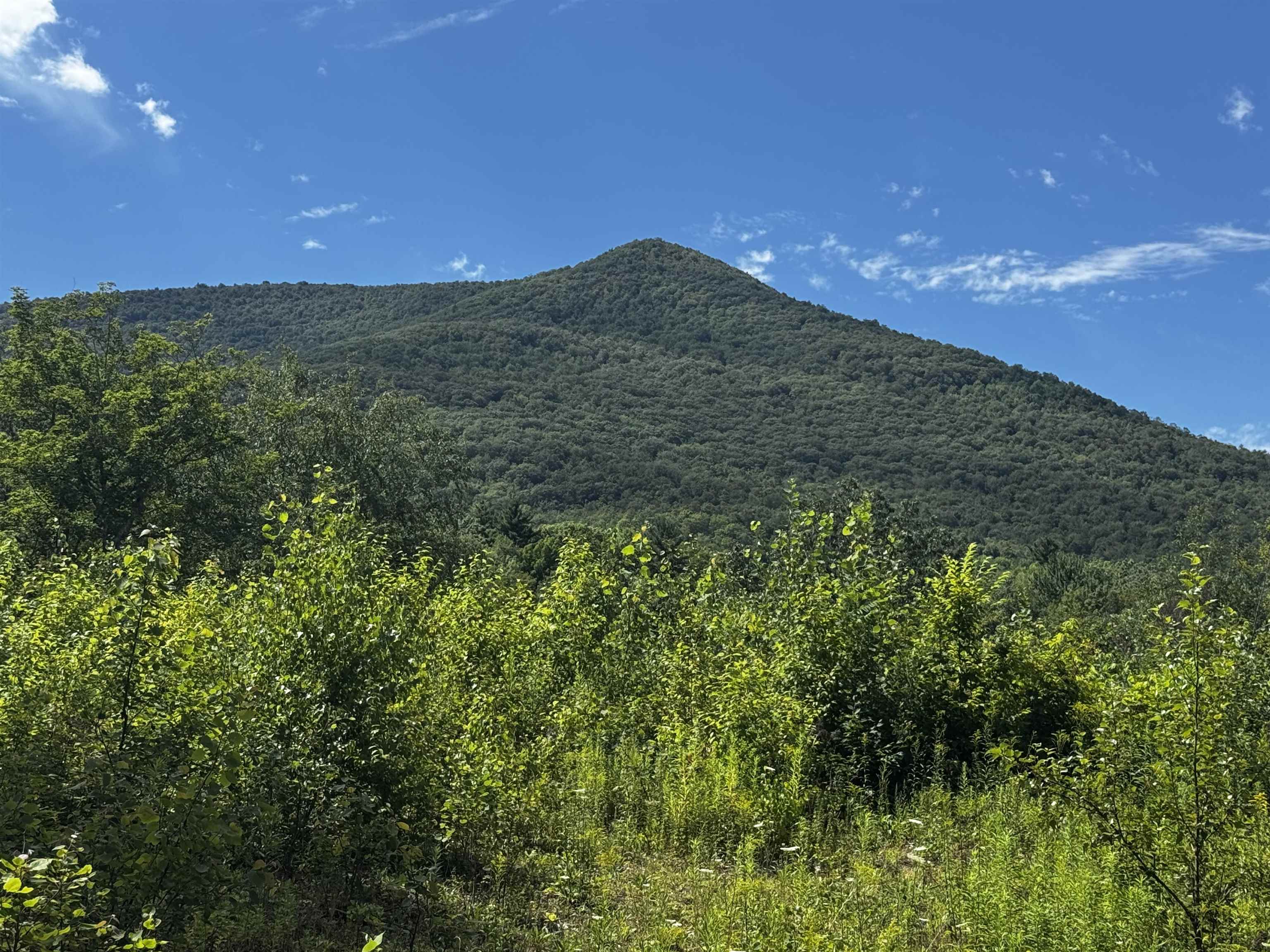 272 Twenty Acre Wood Property Photo 1