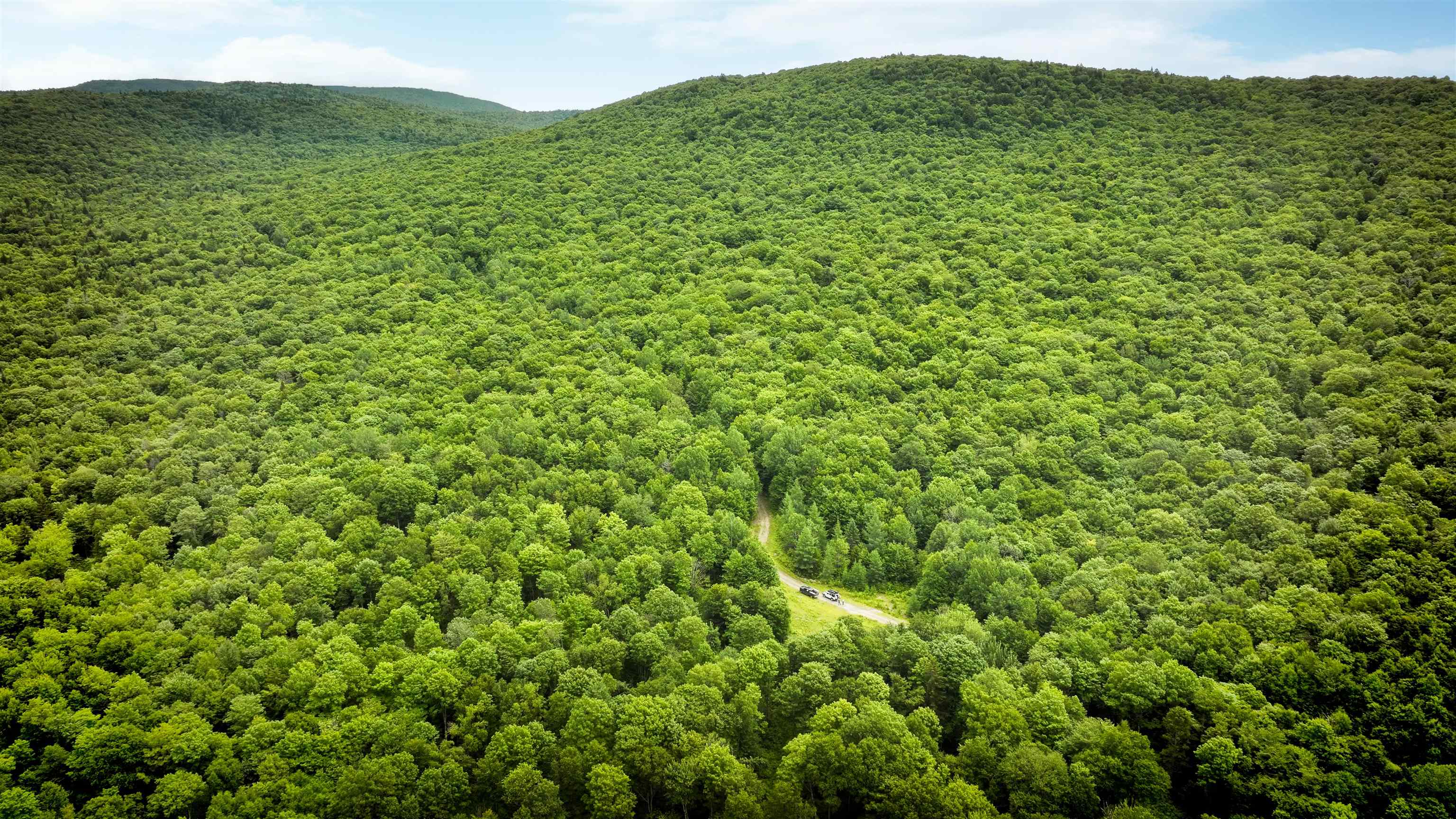 2448 Lost Nation Road Property Photo 20