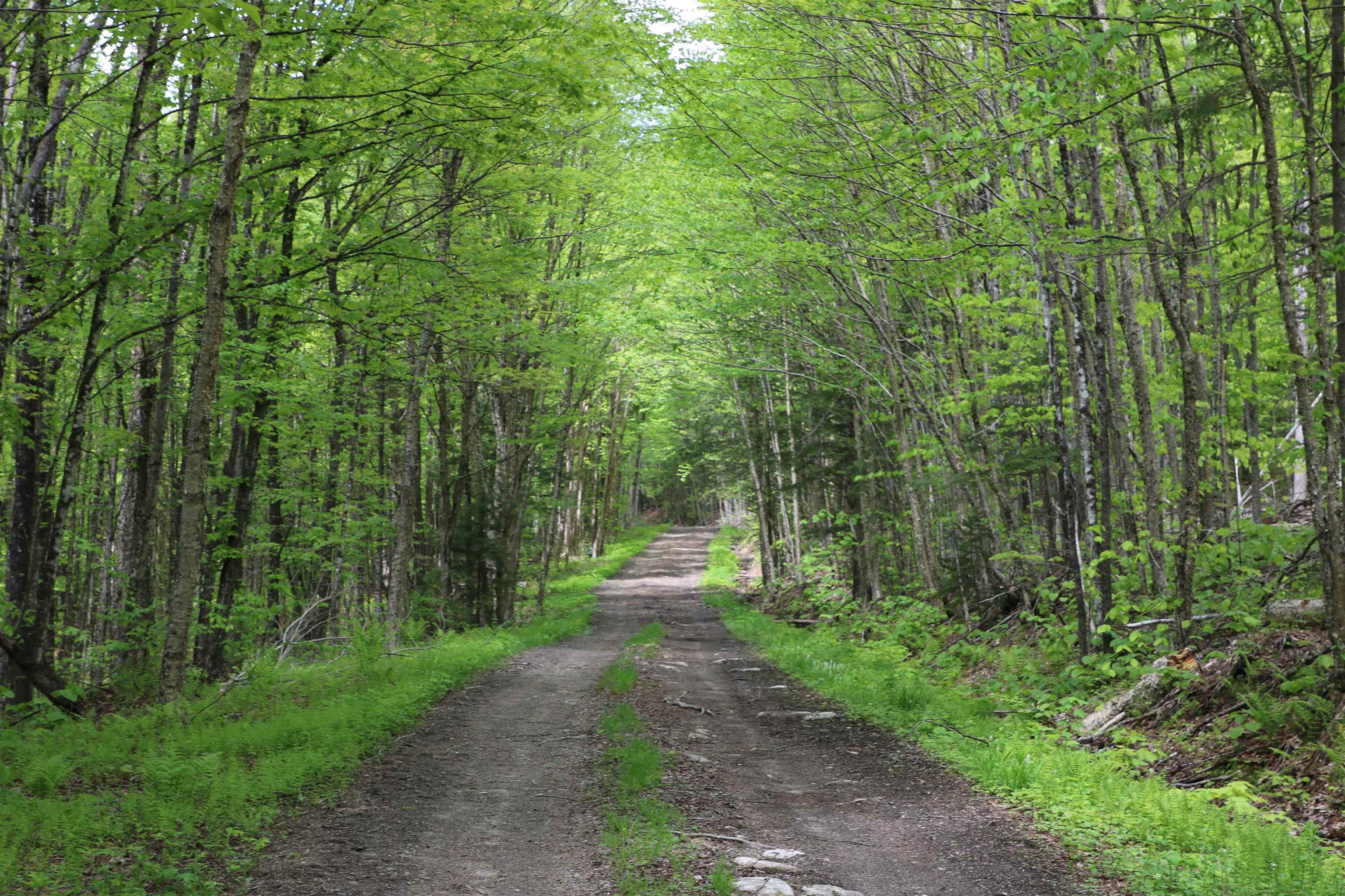 2448 Lost Nation Road Property Photo 23