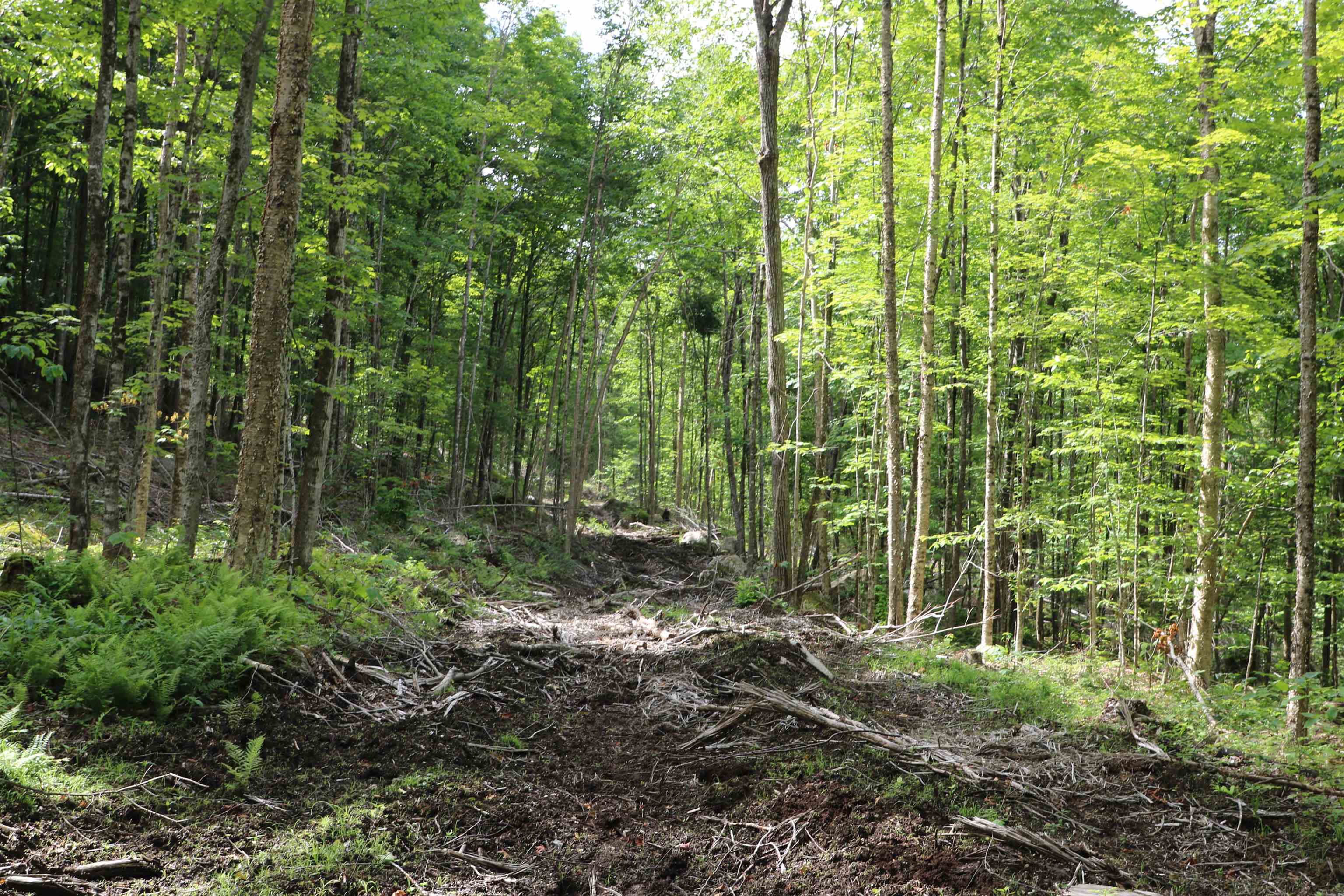 2448 Lost Nation Road Property Photo 25