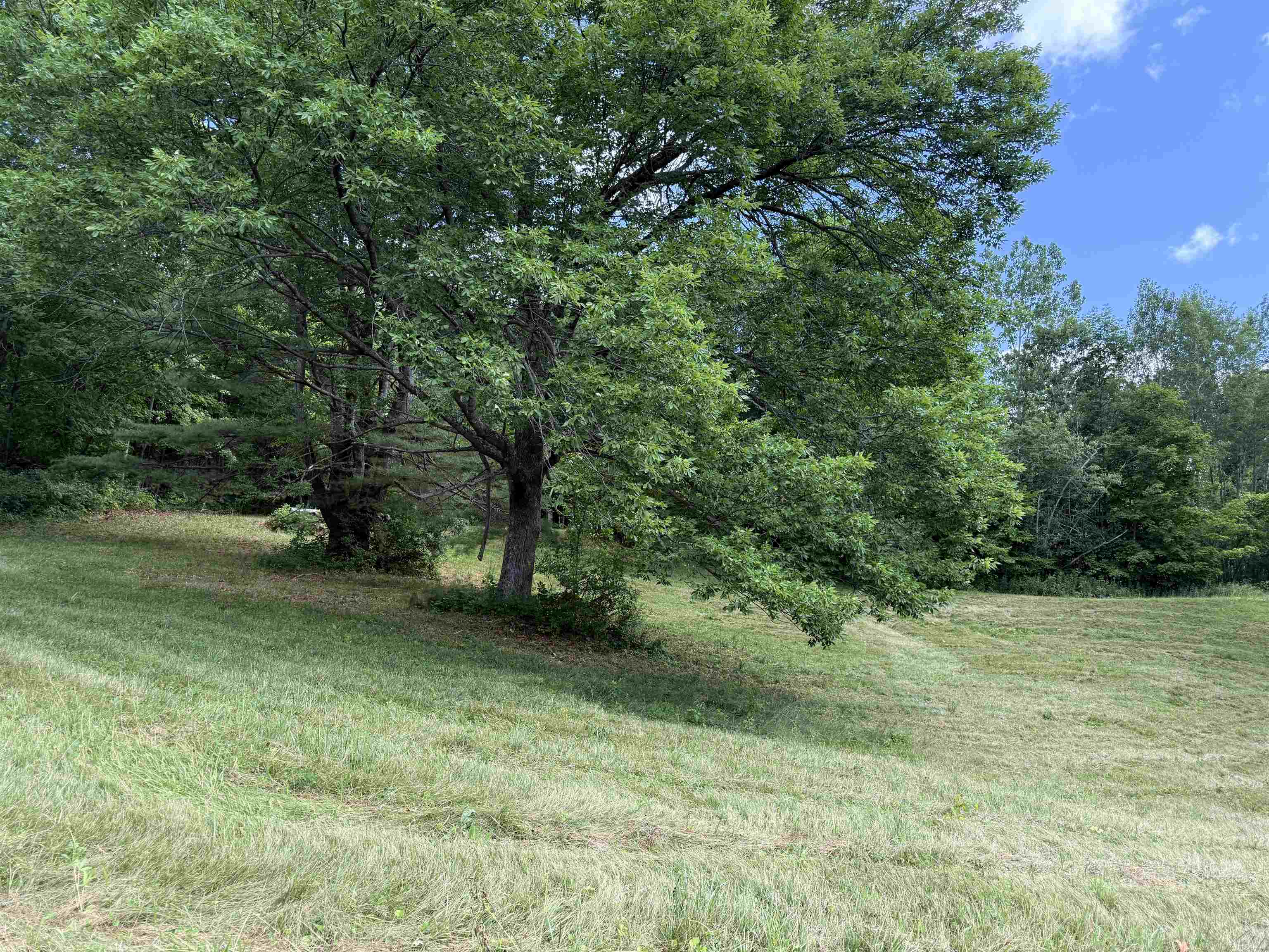1782 Randall Road Property Photo 10