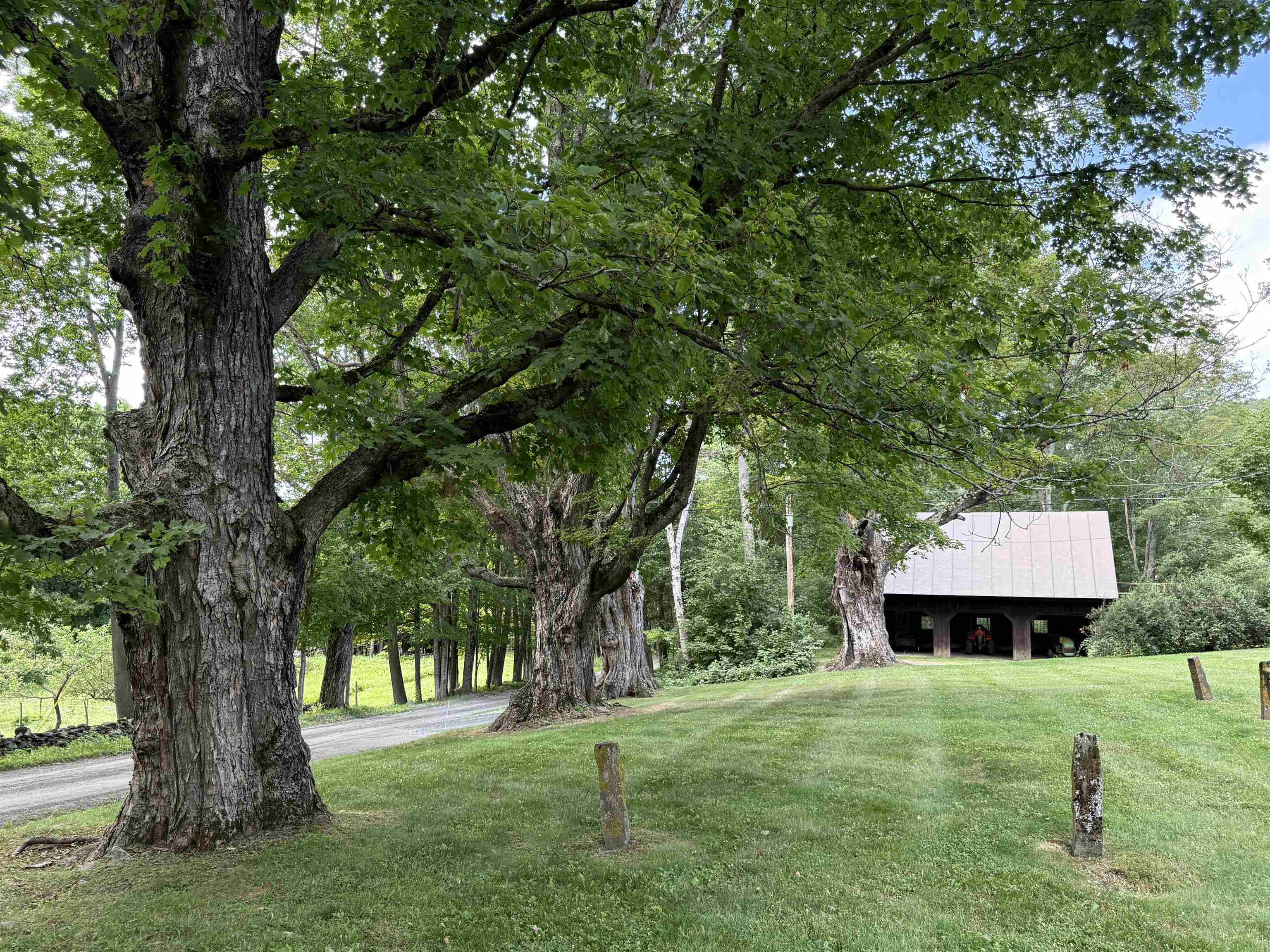 1782 Randall Road Property Photo 14