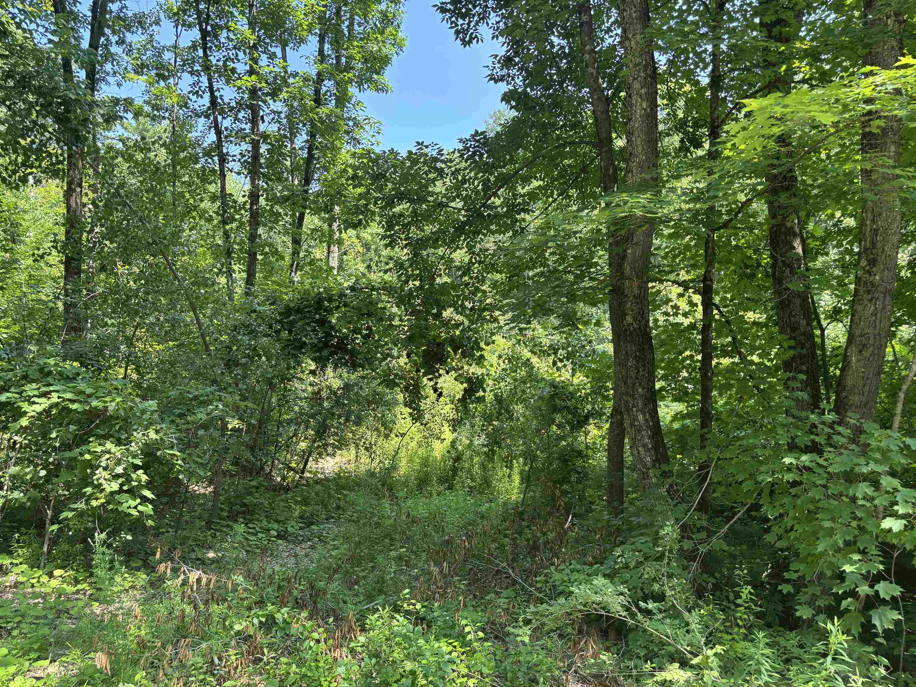 Upper Plains Road Property Photo 1