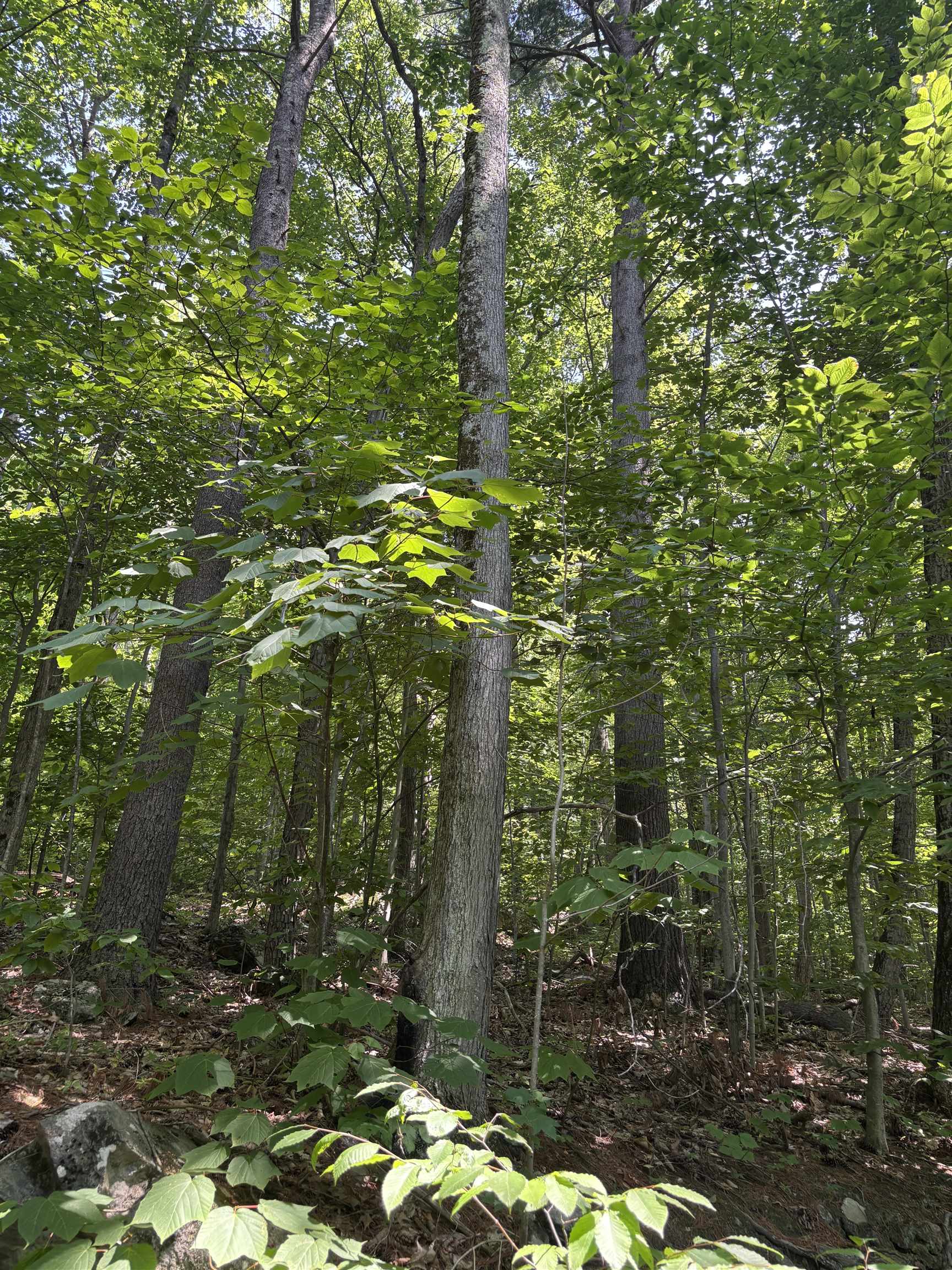 Upper Plains Road Property Photo 1