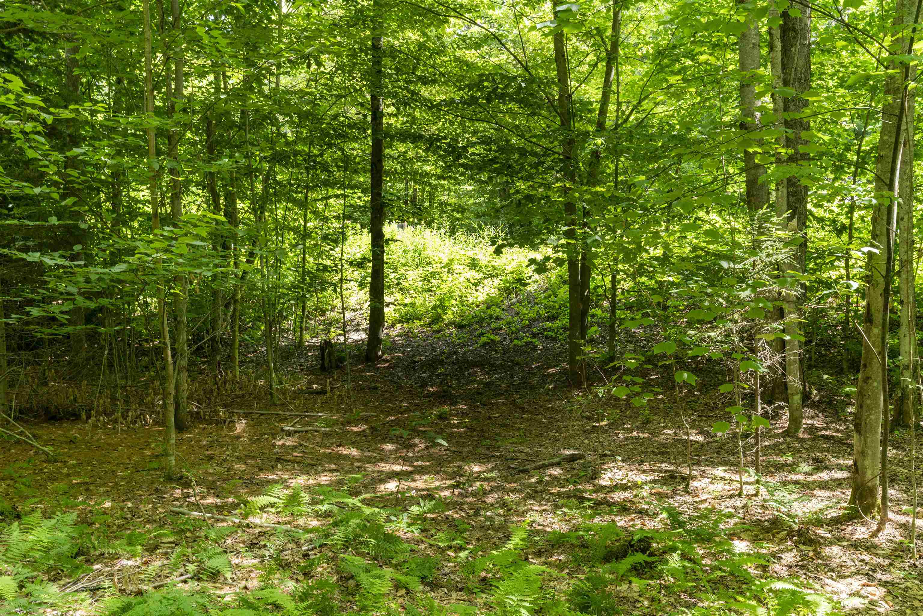 Tbd Taylor Road Property Photo 1