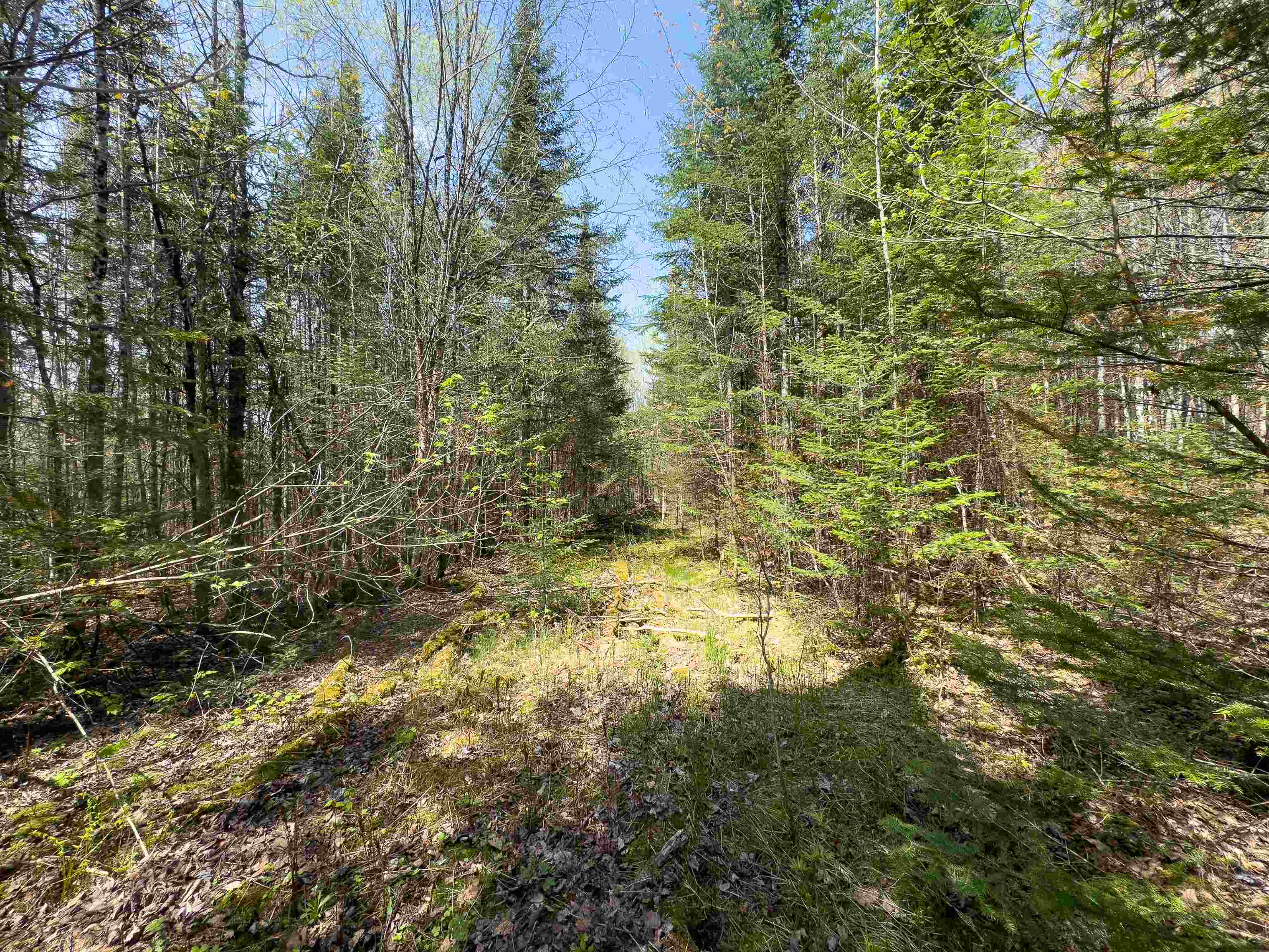 538 Oregon Road Property Photo 1