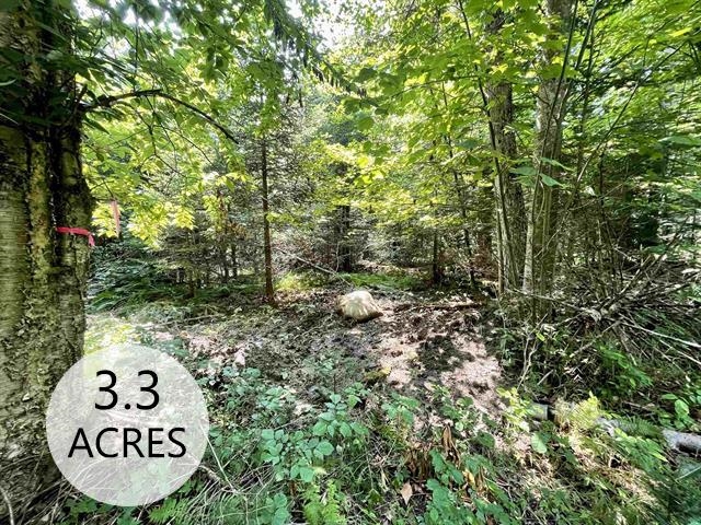 00 Peene Hill Road Property Photo 1