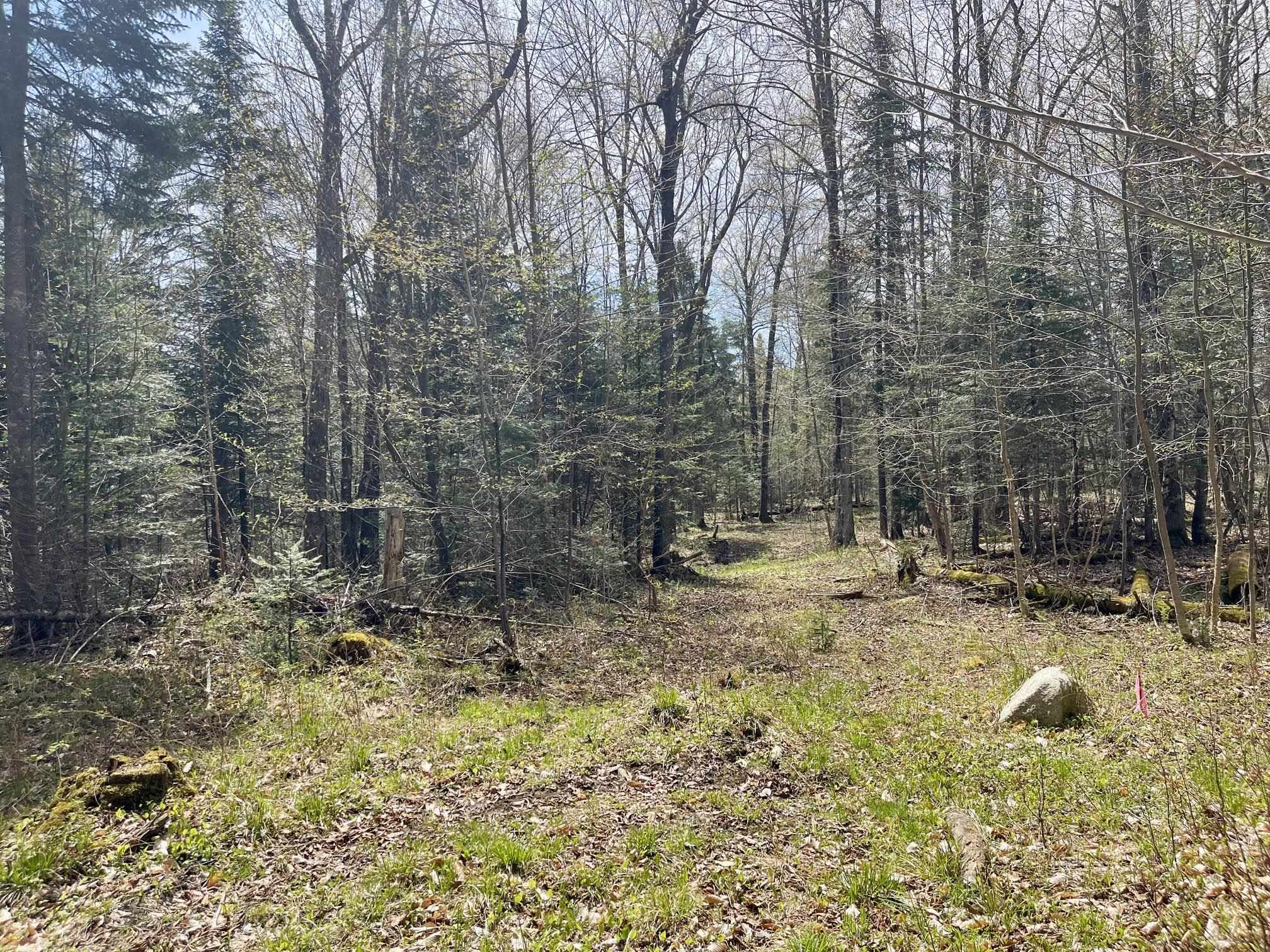 00 Peene Hill Road Property Photo 1