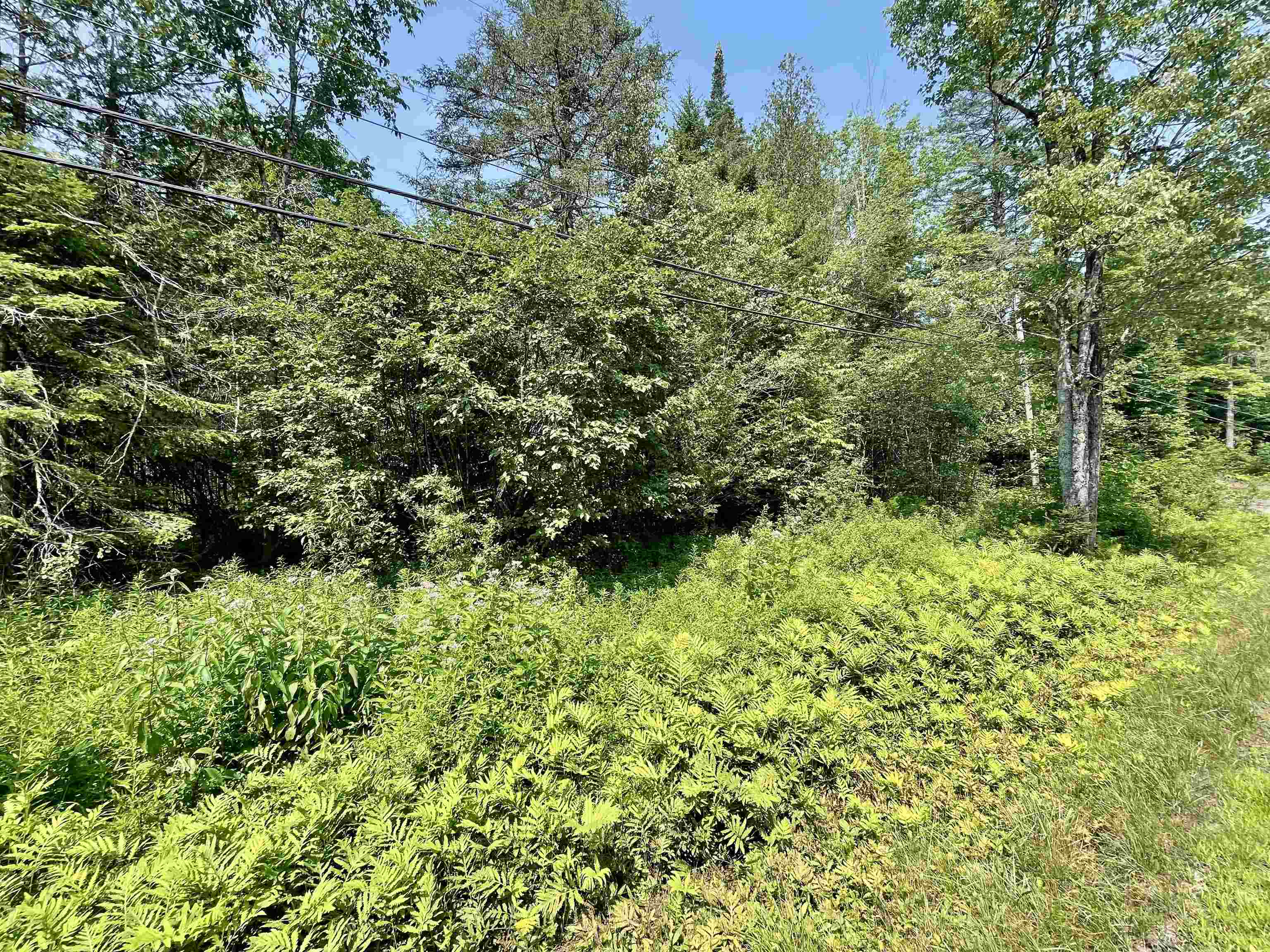 00 Peene Hill Road Property Photo 7