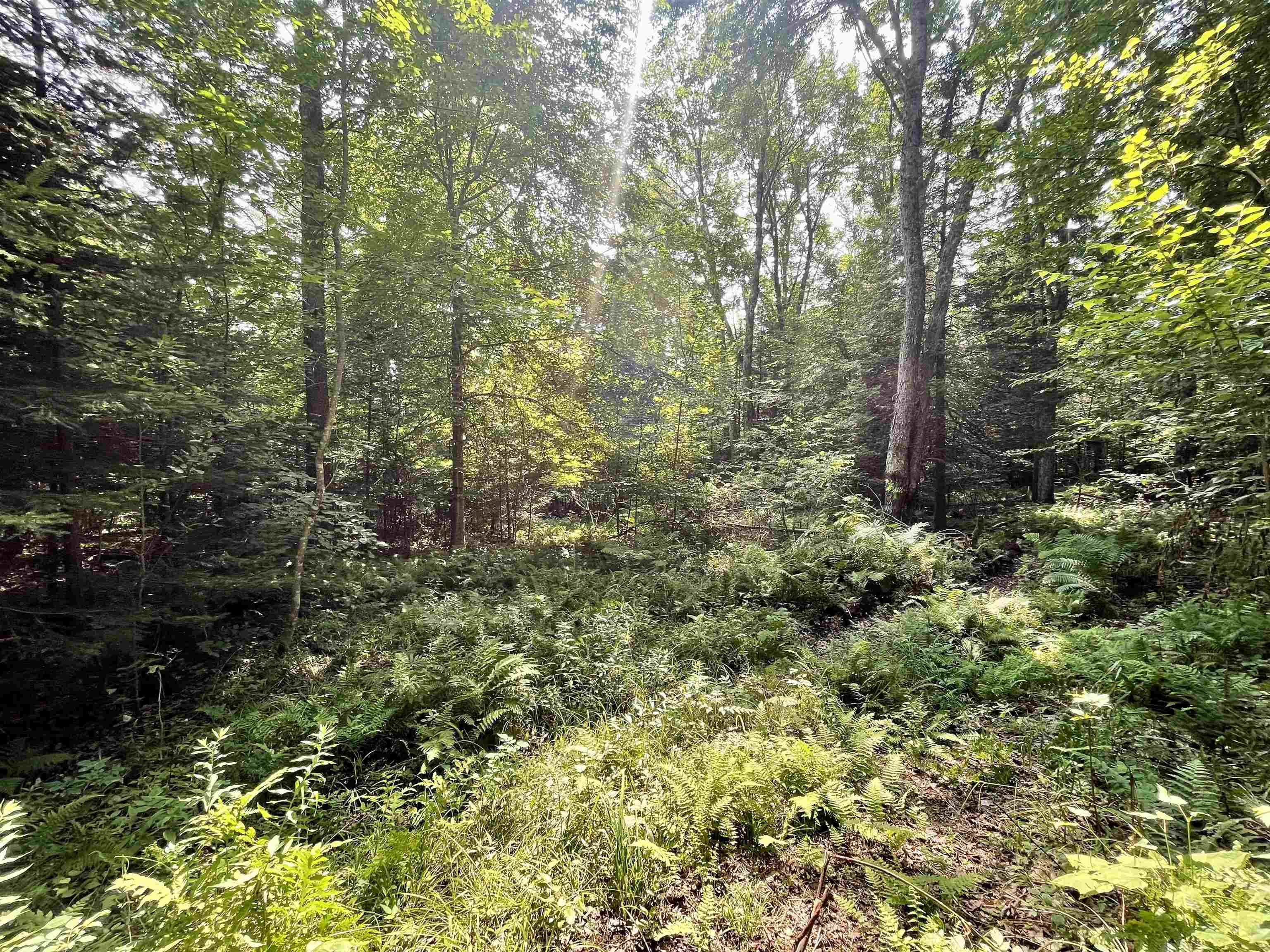 00 Peene Hill Road Property Photo 8