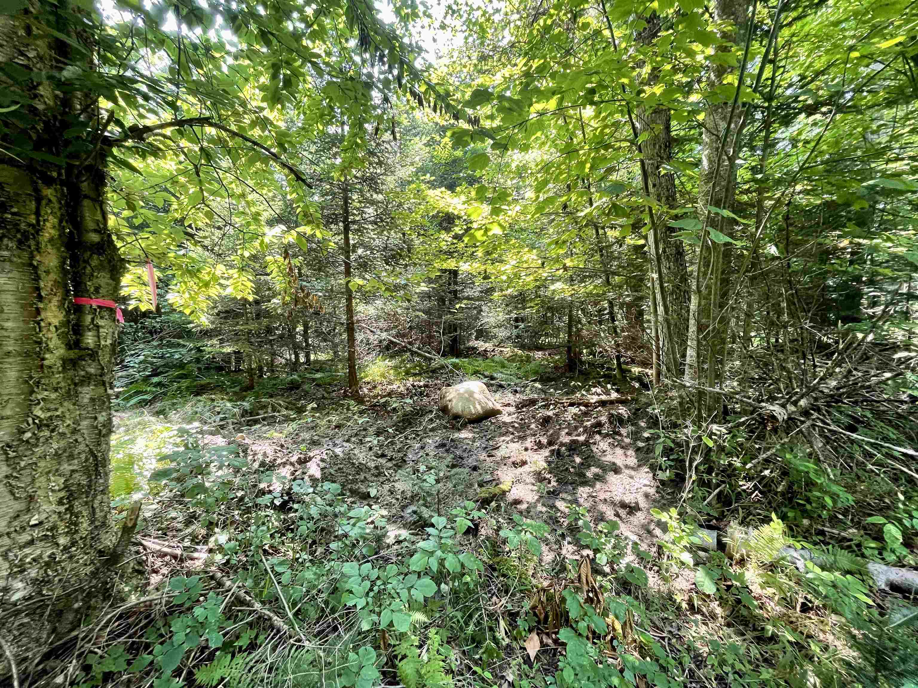 00 Peene Hill Road Property Photo 10
